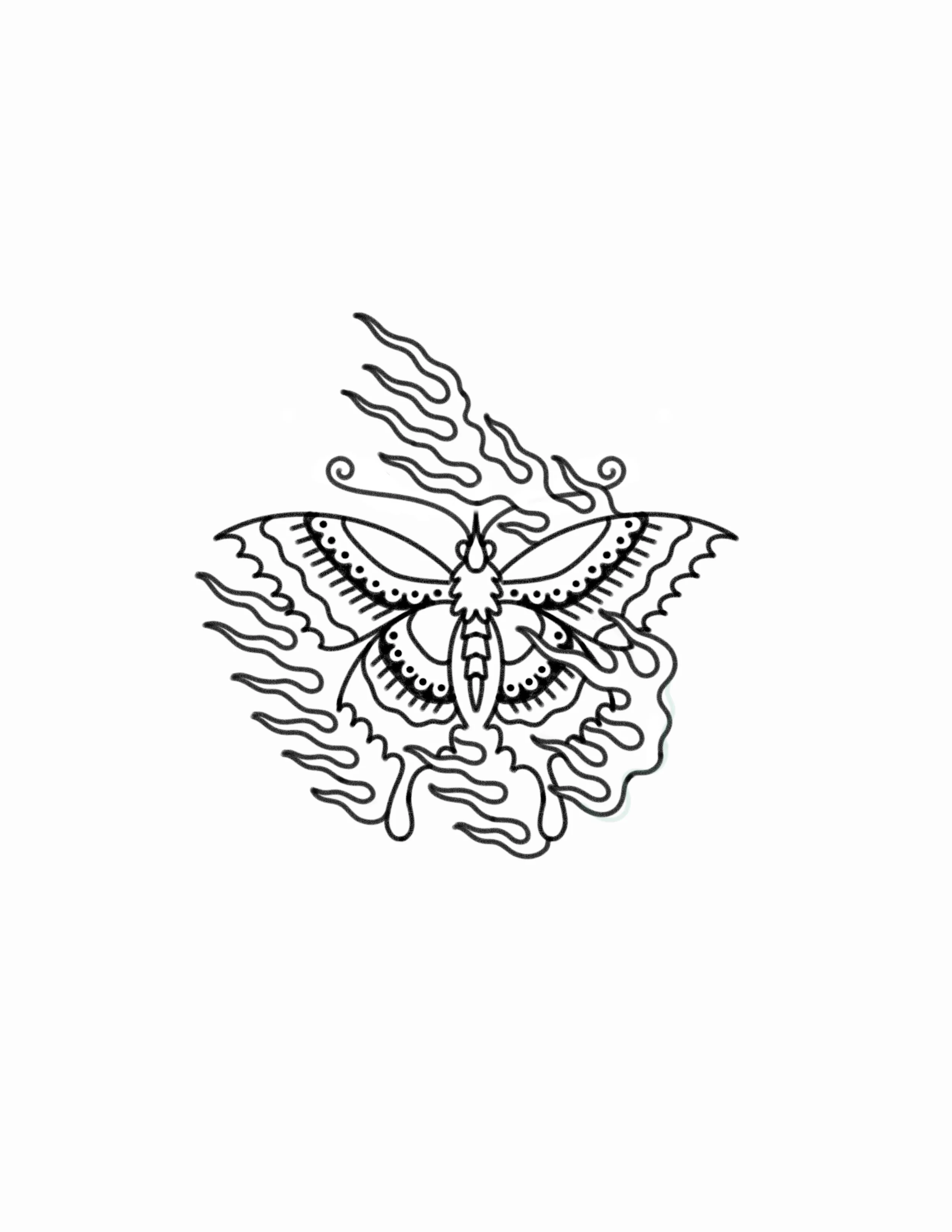 Flaming Butterfly