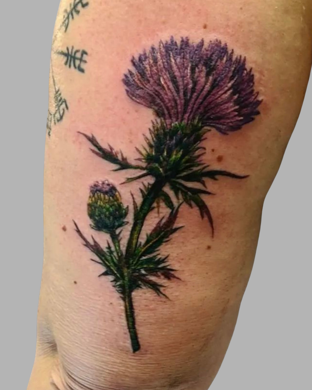 Danielle Cowardin: RCT Blvd