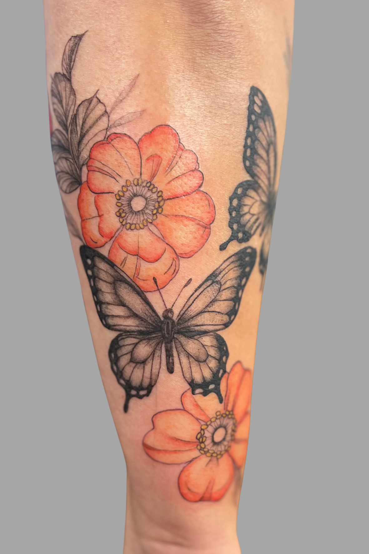 Caitlin Howard: RCT Blvd.