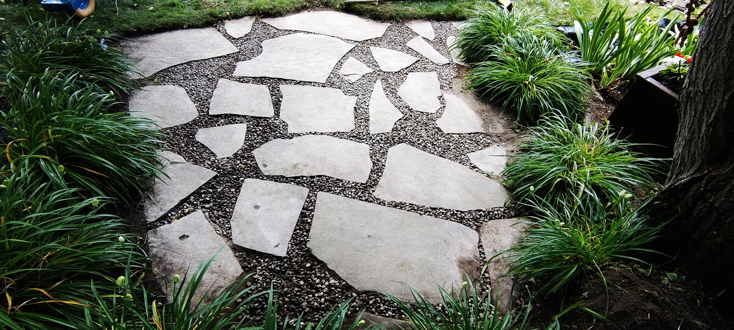 IMG_20210730_110148 (1).jpg