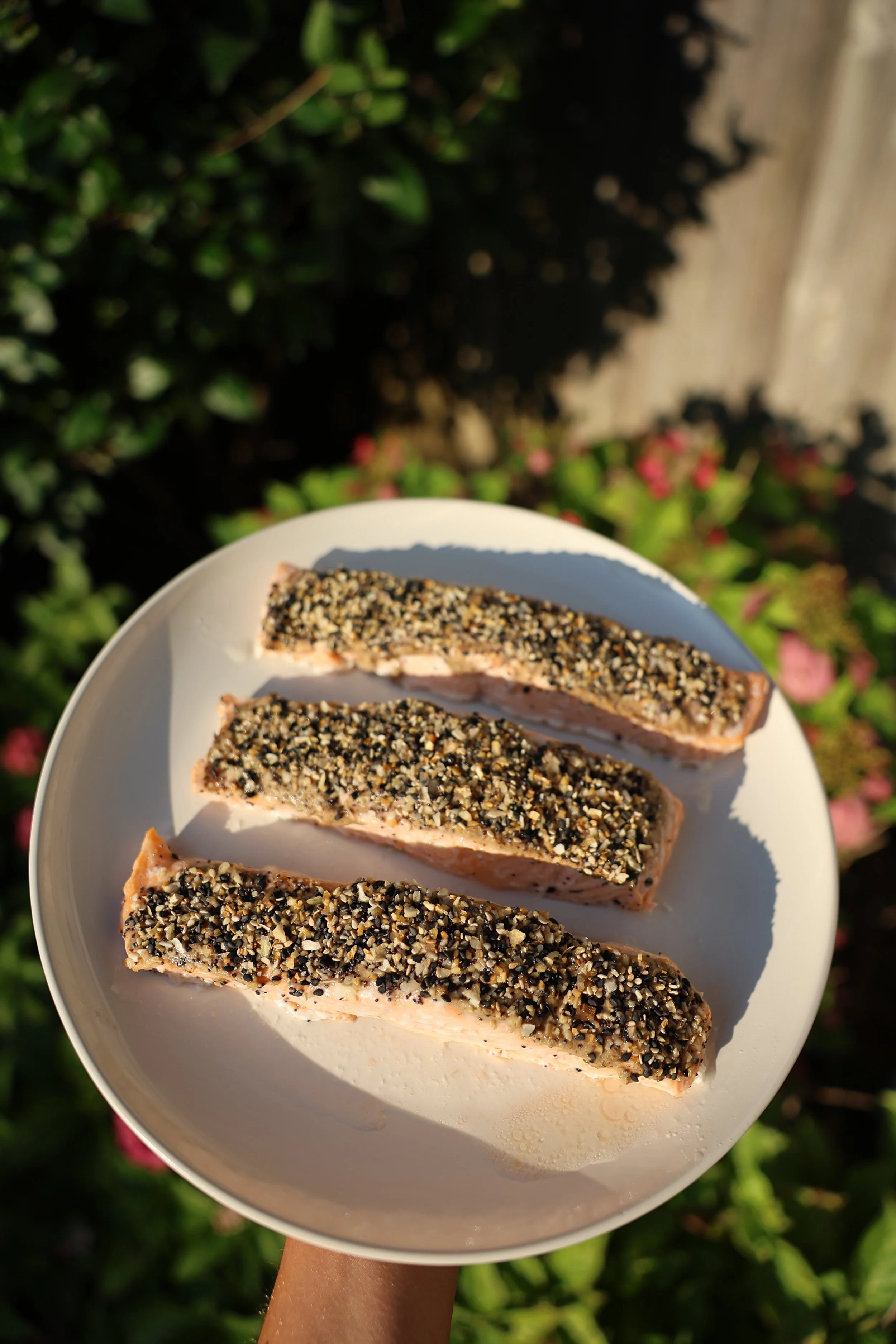 Everything salmon