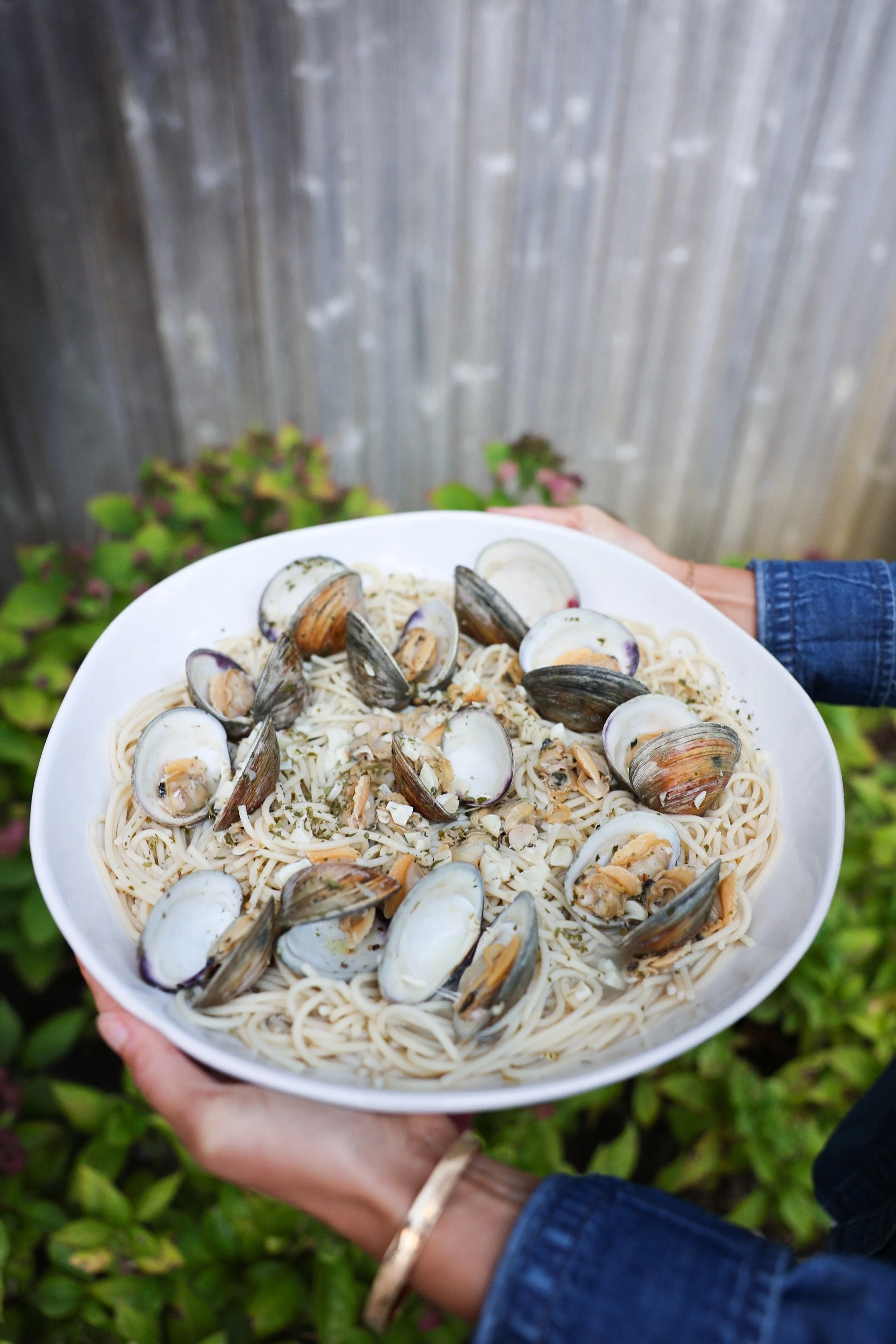 Linguine + clam sauce