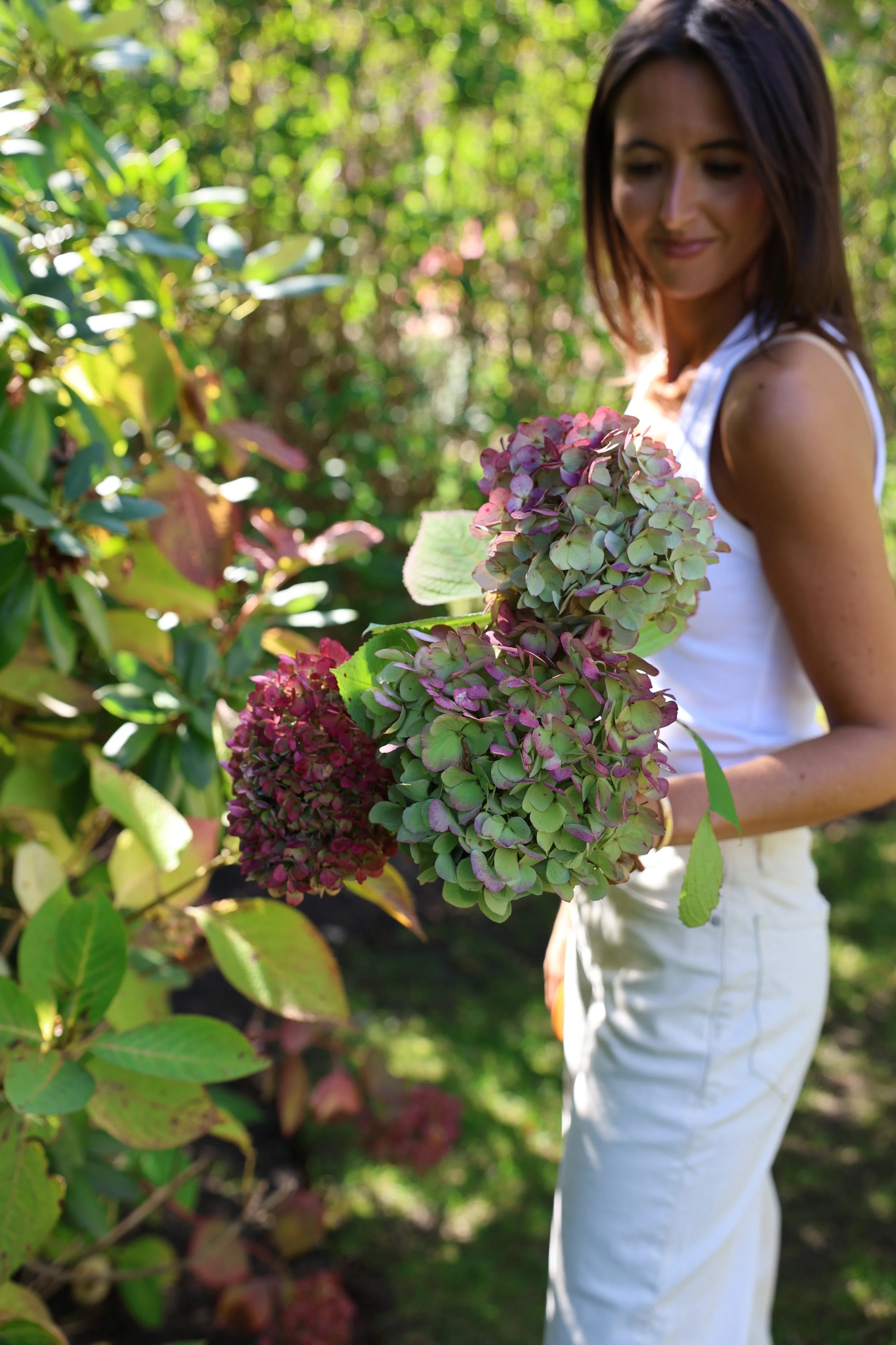 A woman wearing a white sleeveless top and white pants holding a bunch of multicolored hydrangea flowers in a garden with green foliage.
