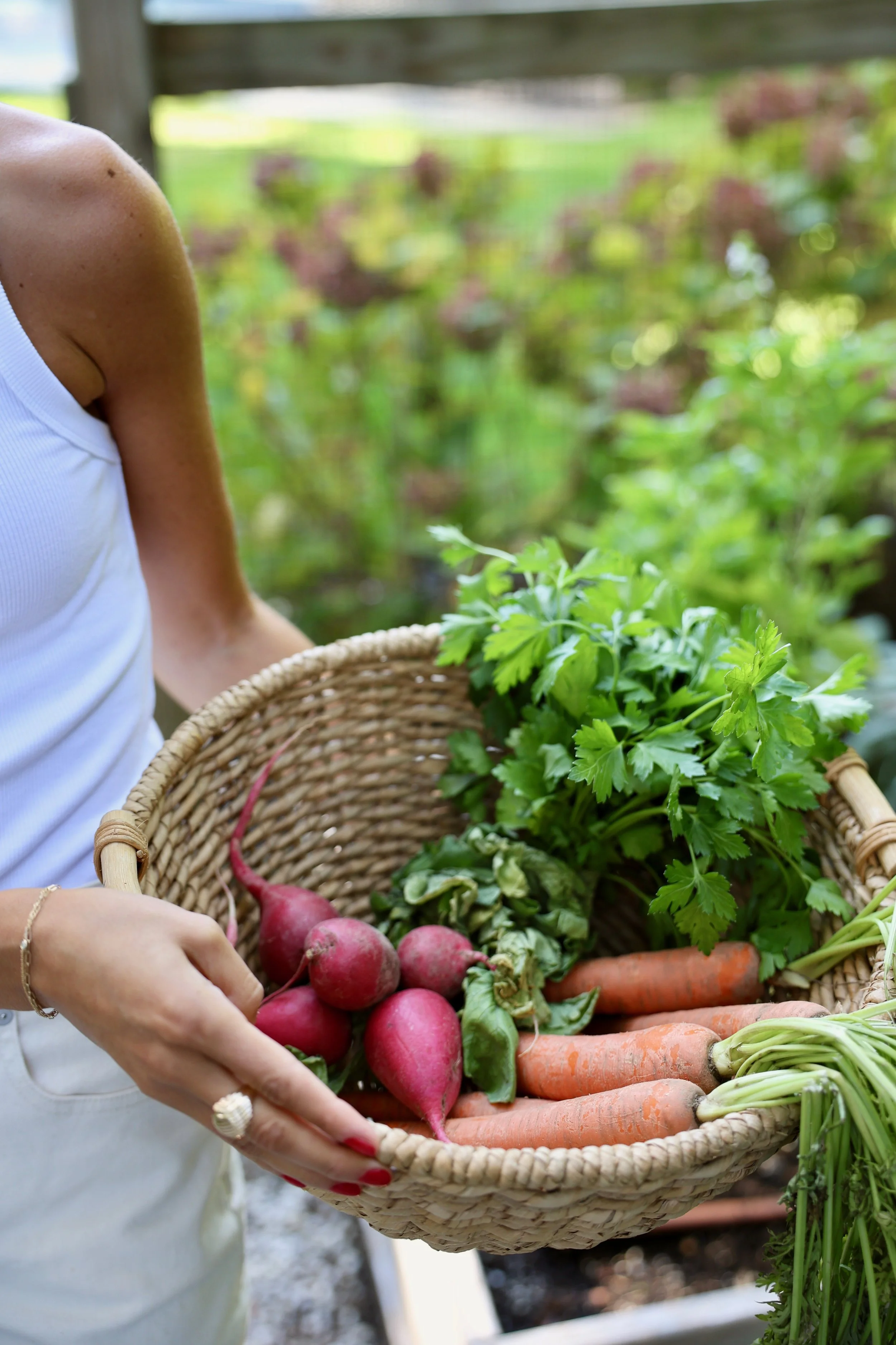 A person holding a wicker basket filled with fresh vegetables including radishes, carrots, and leafy greens in an outdoor garden setting.