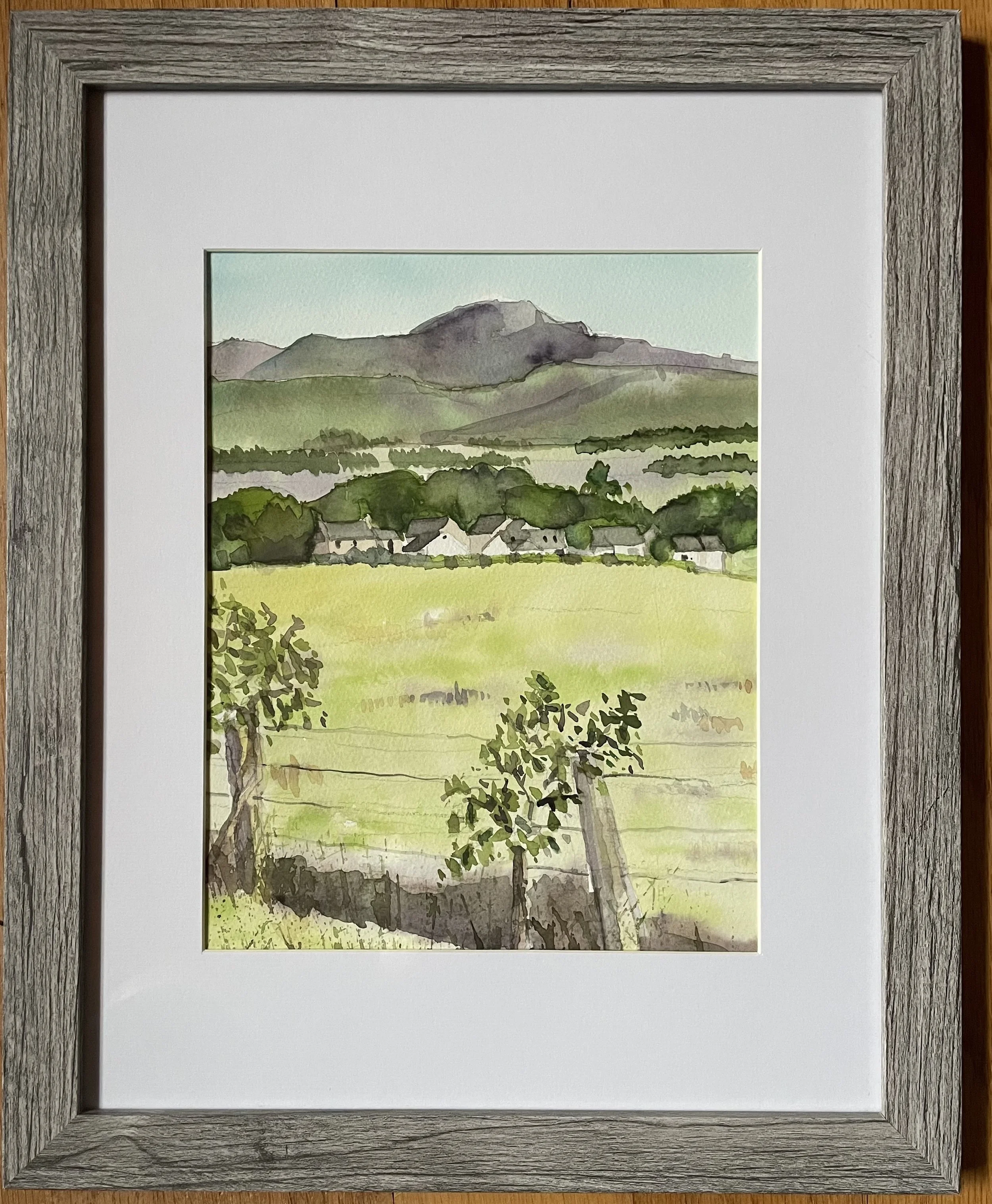 BEN LEDI, TROSSACHS,SCOTLAND