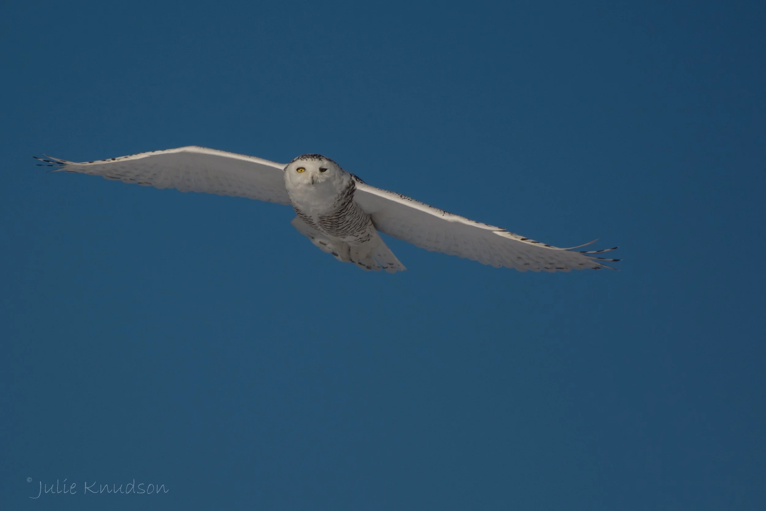 DSC_3522.jpg