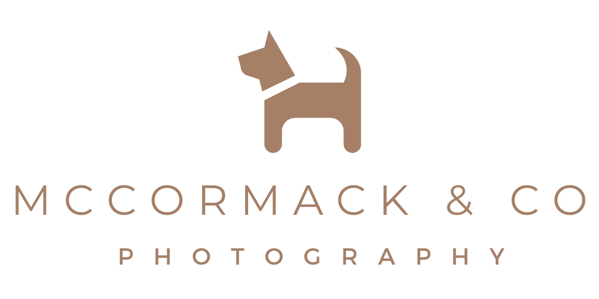 Best Pet Photography Studio in North Carolina