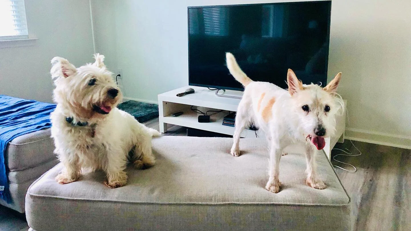 Beautiful souls, love you more than words can describe