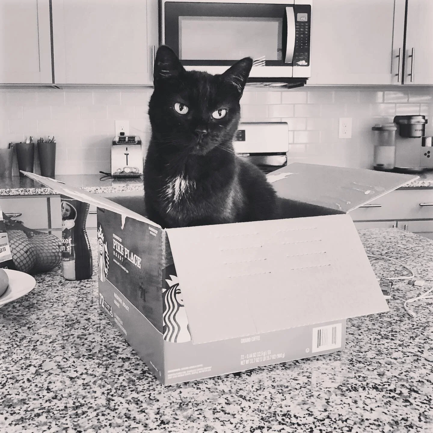 A cat in a box :) @instacatsblack