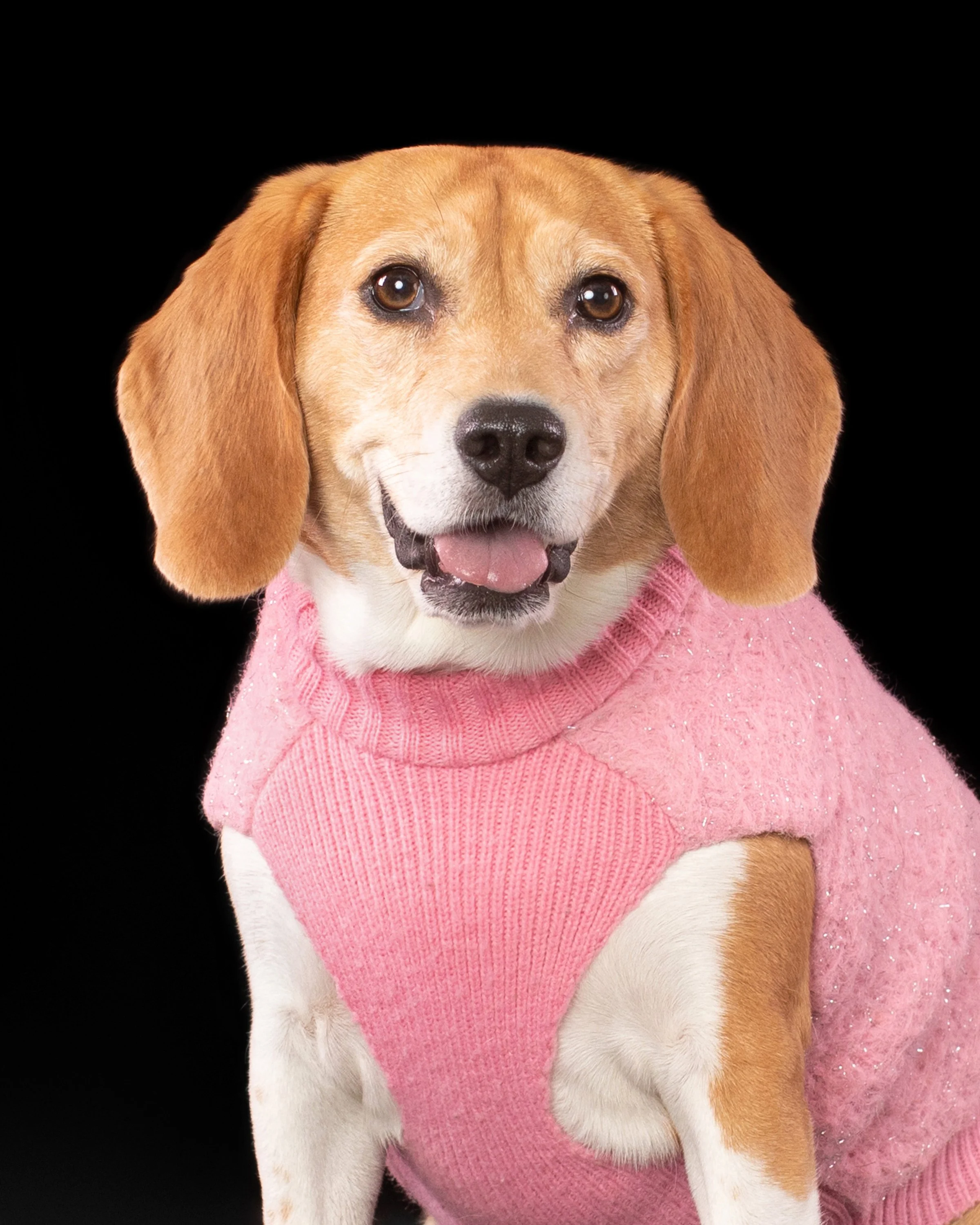 Grant’s Portrait Session