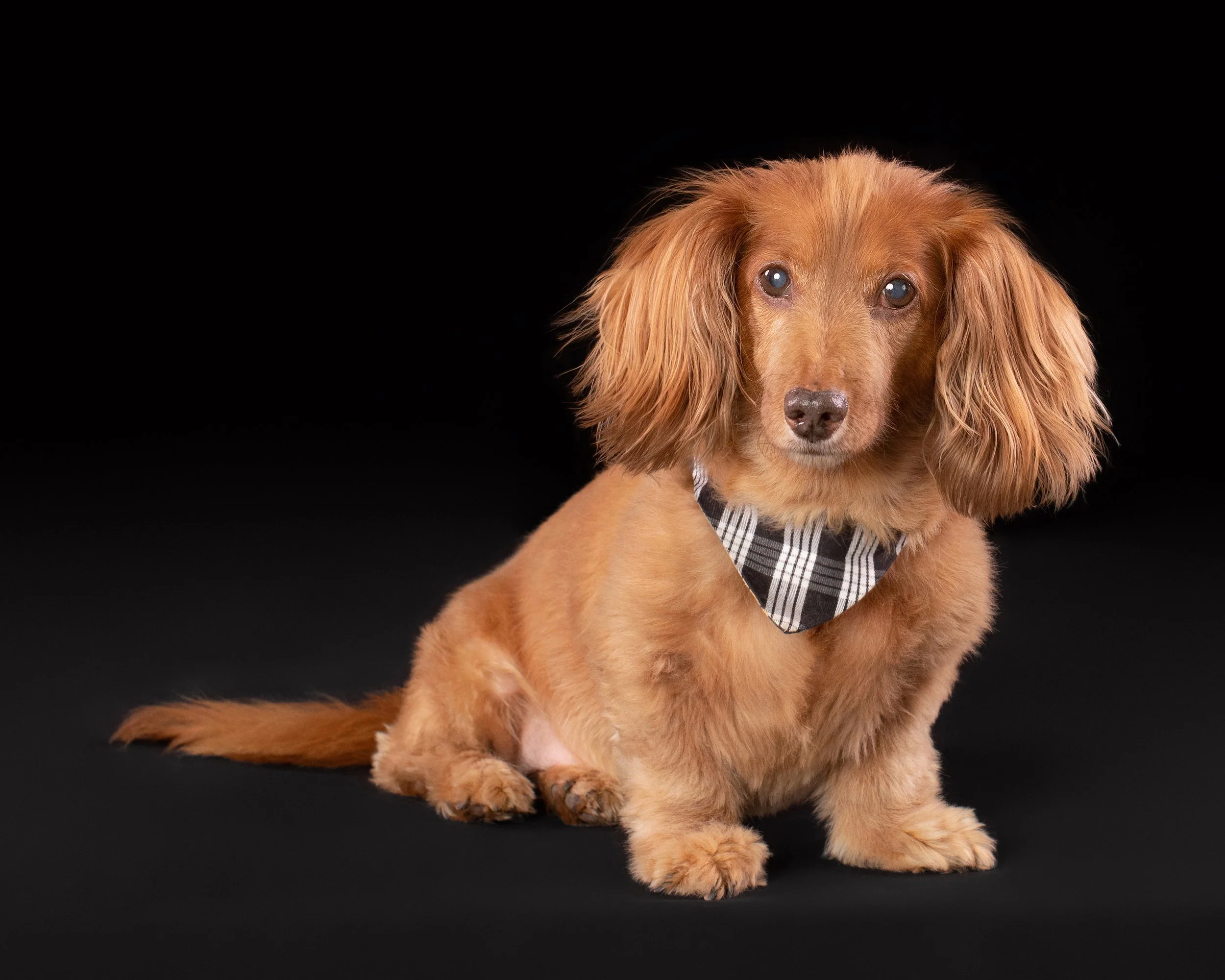Jaz’s Portrait Session