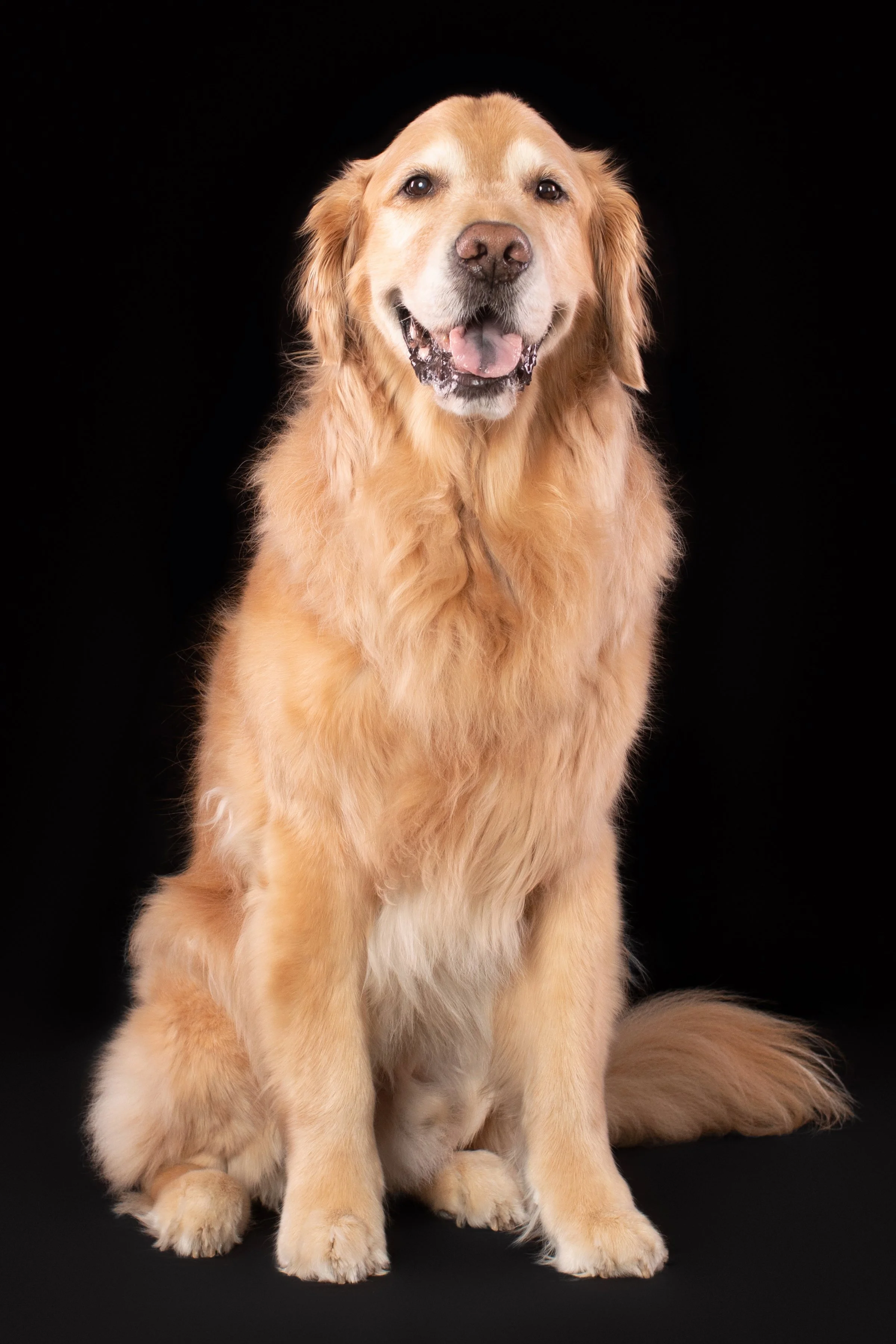 Layla’s Portrait Session