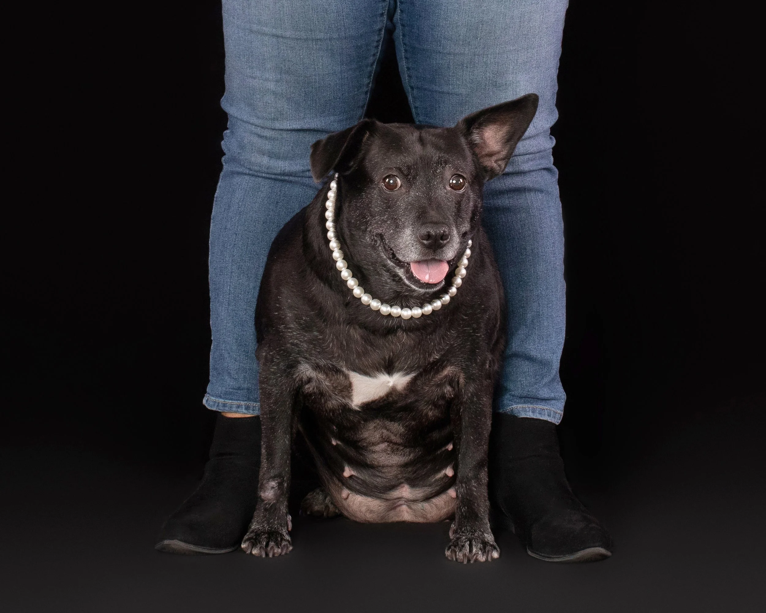 Brooke’s Portrait Session