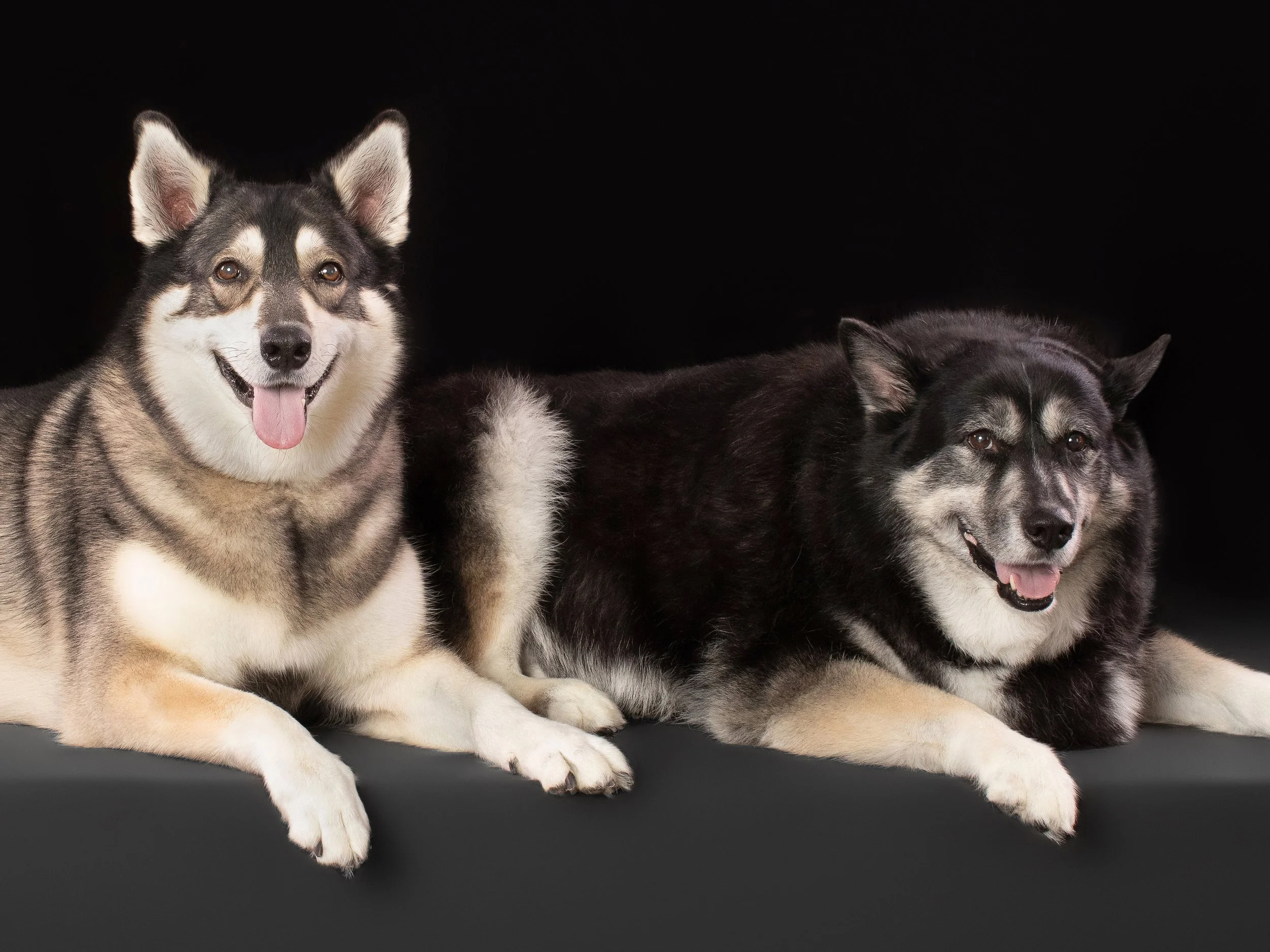 Joy’s Portrait Session