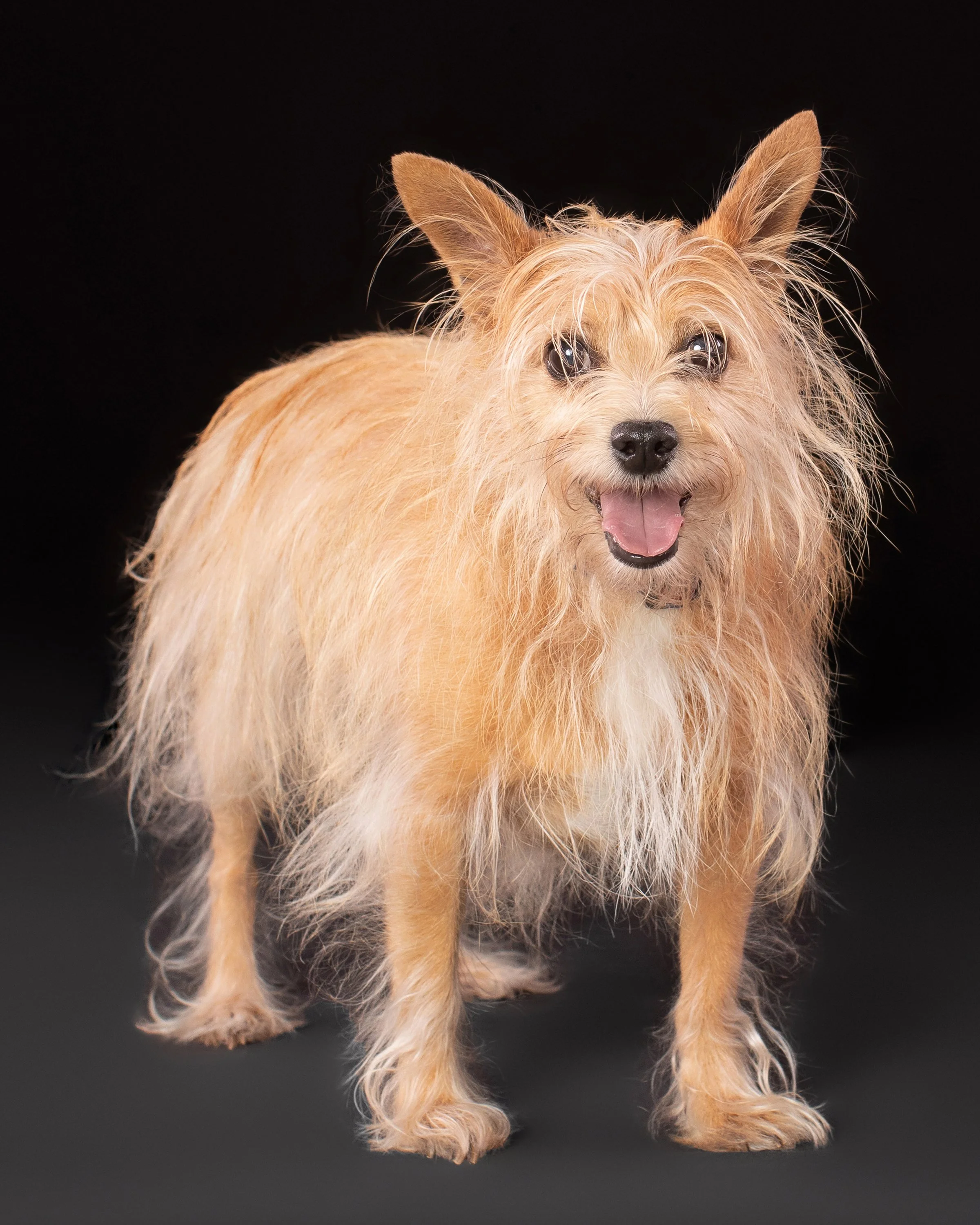 Marshall’s Portrait Session