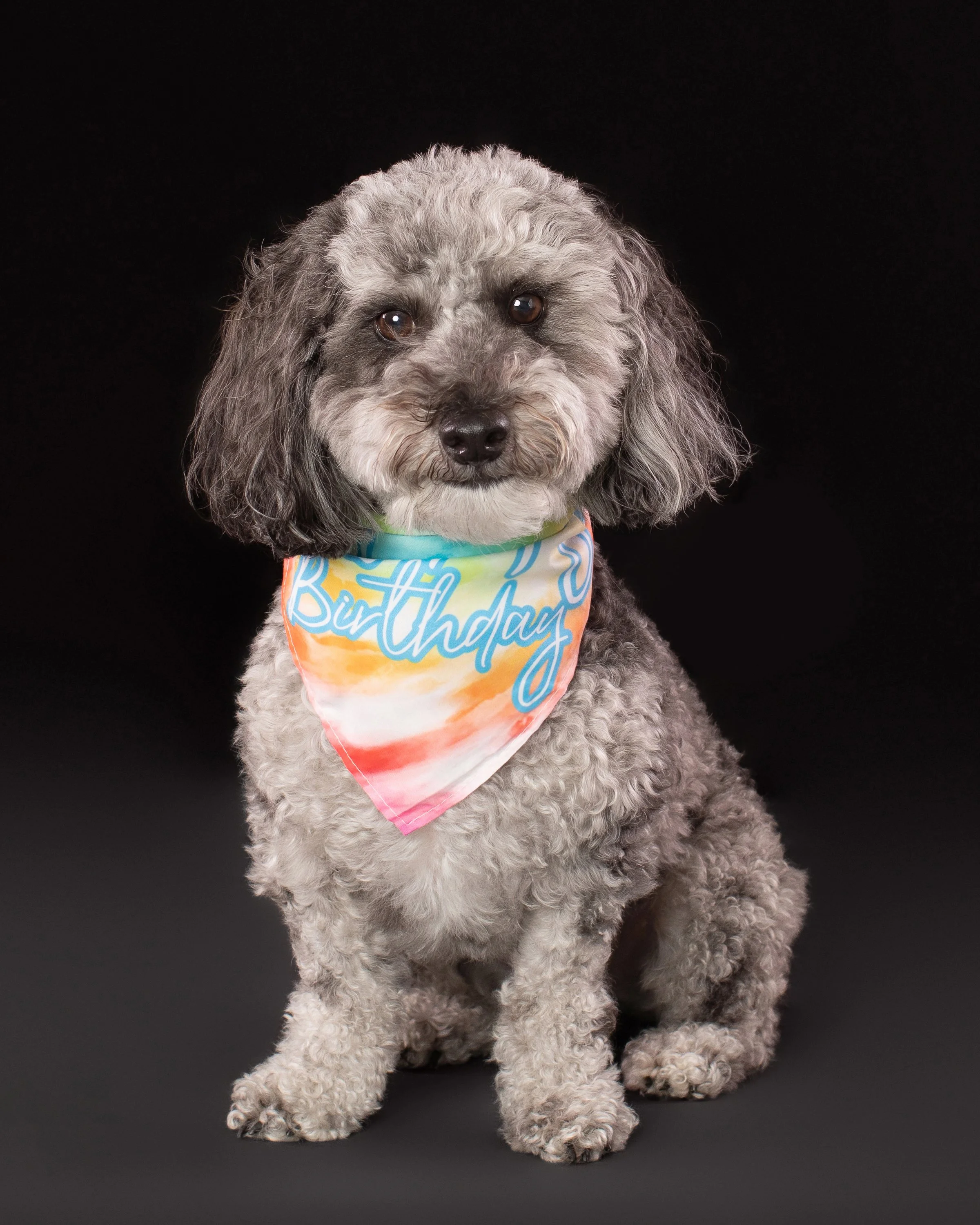 Amaya’s Portrait Session