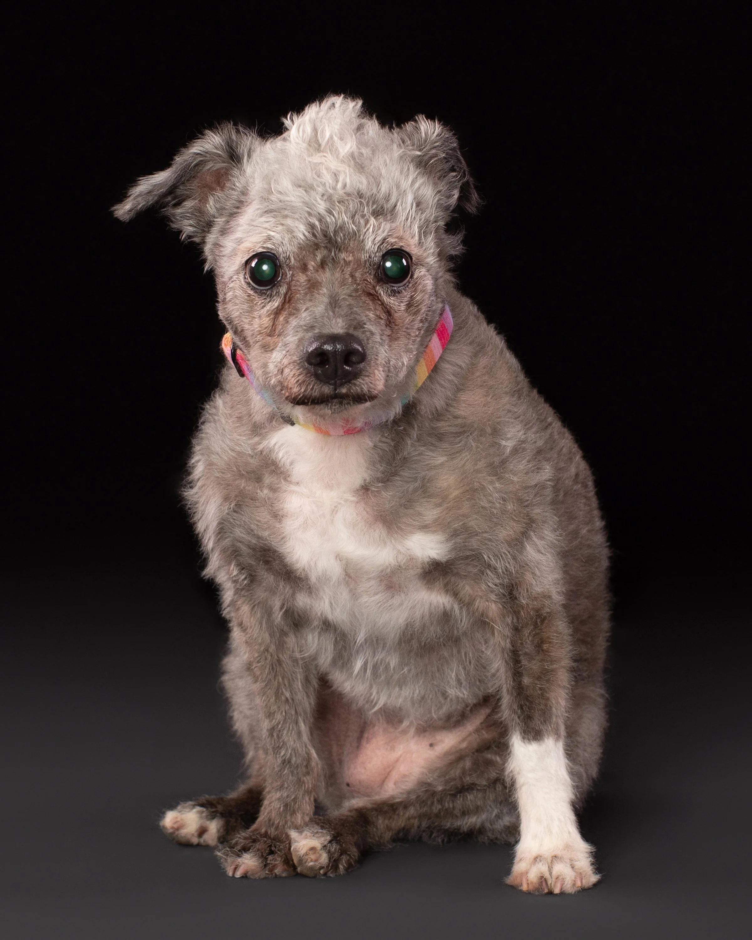 Gracie’s Portrait Session