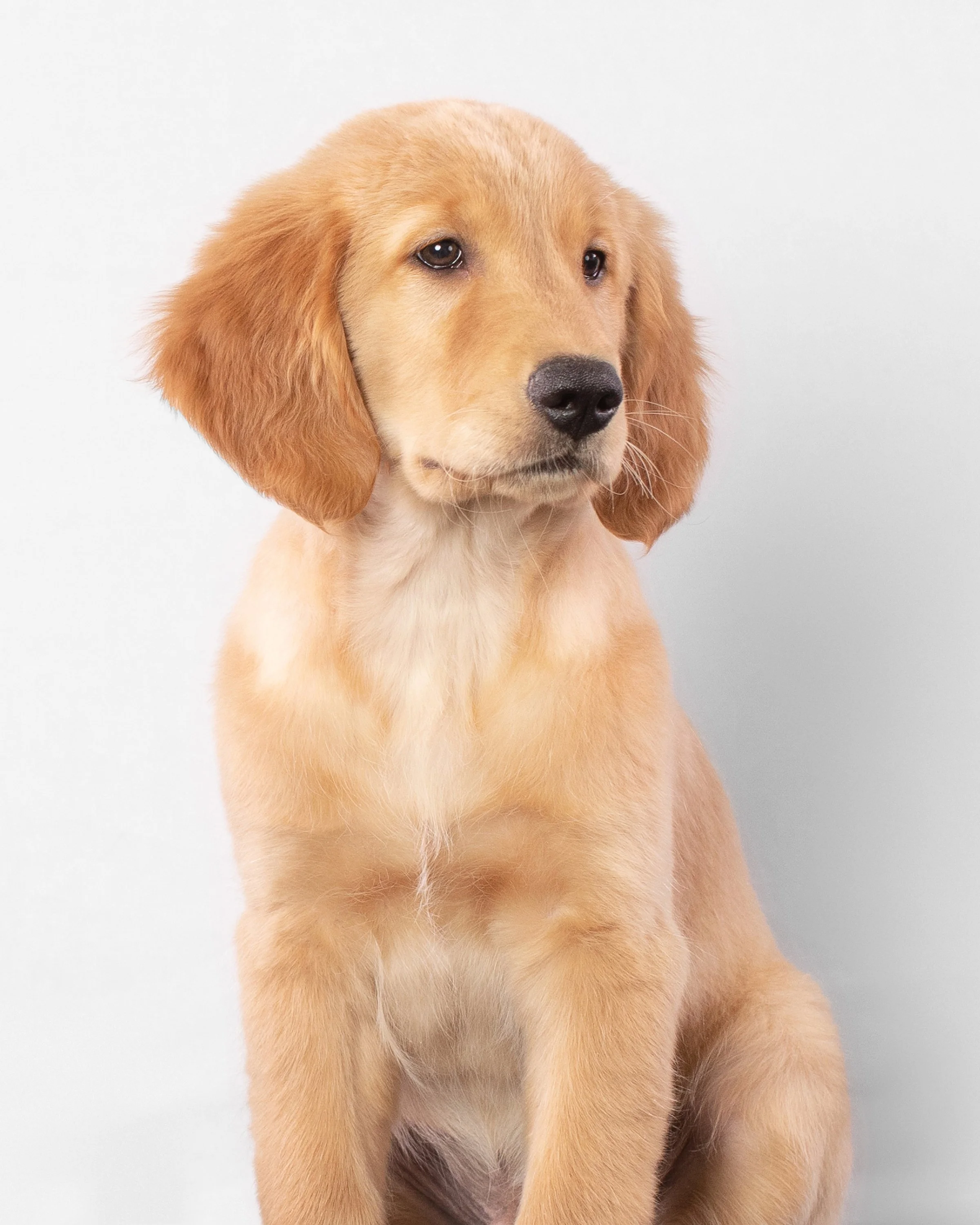 059A6541.jpg