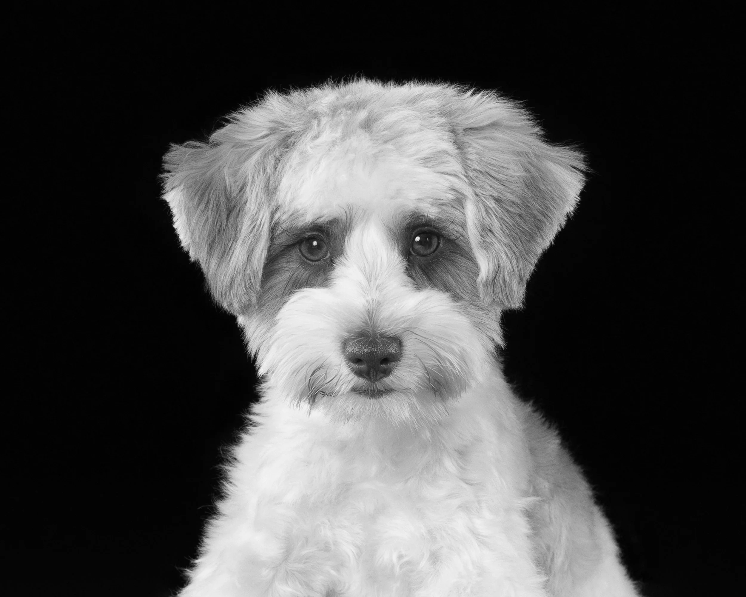 059A3641_bw.jpg