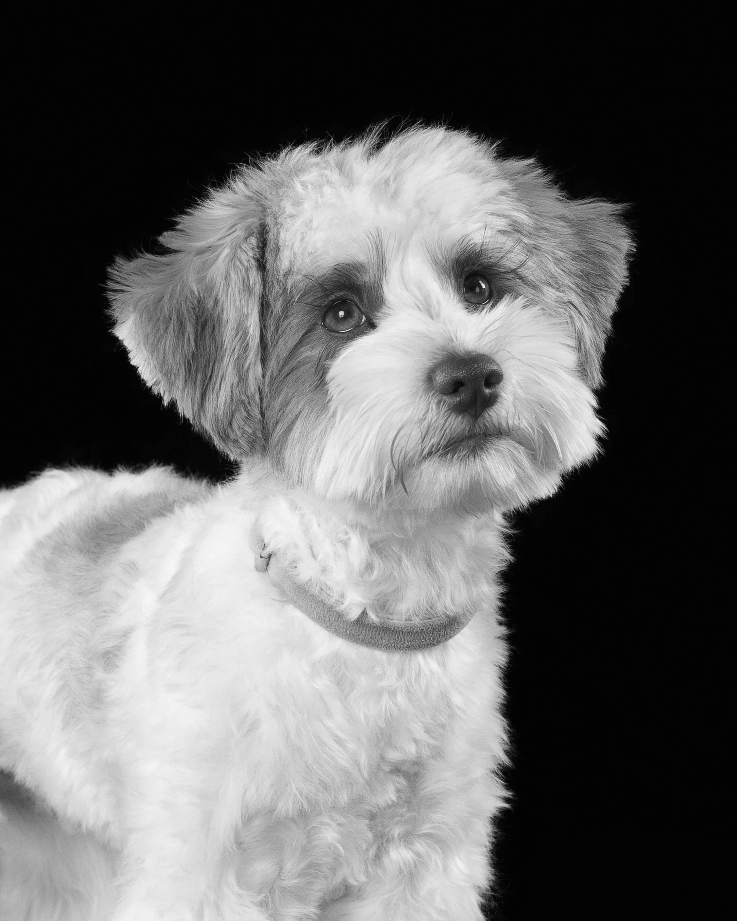 059A3660_bw.jpg