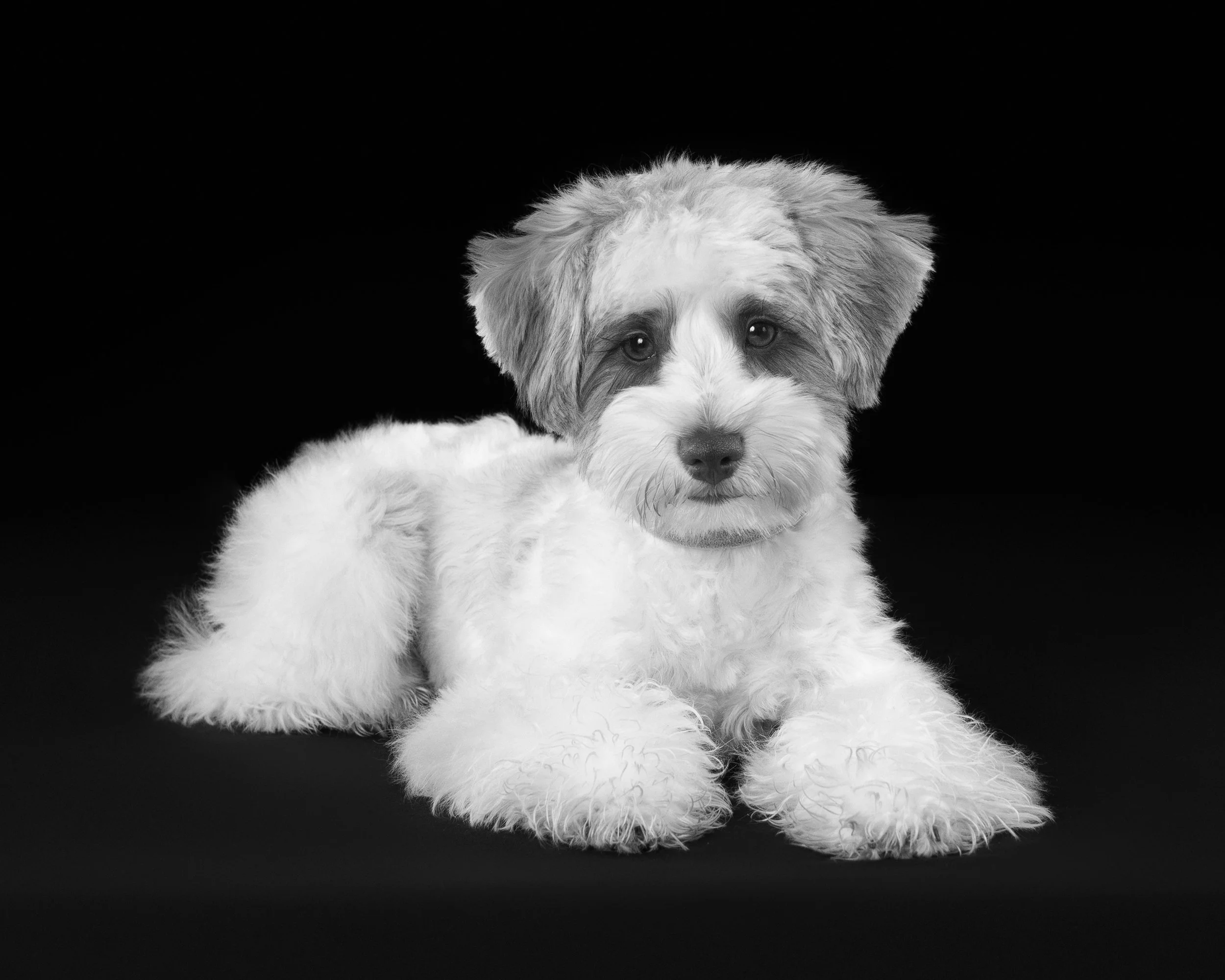 059A3671_bw.jpg
