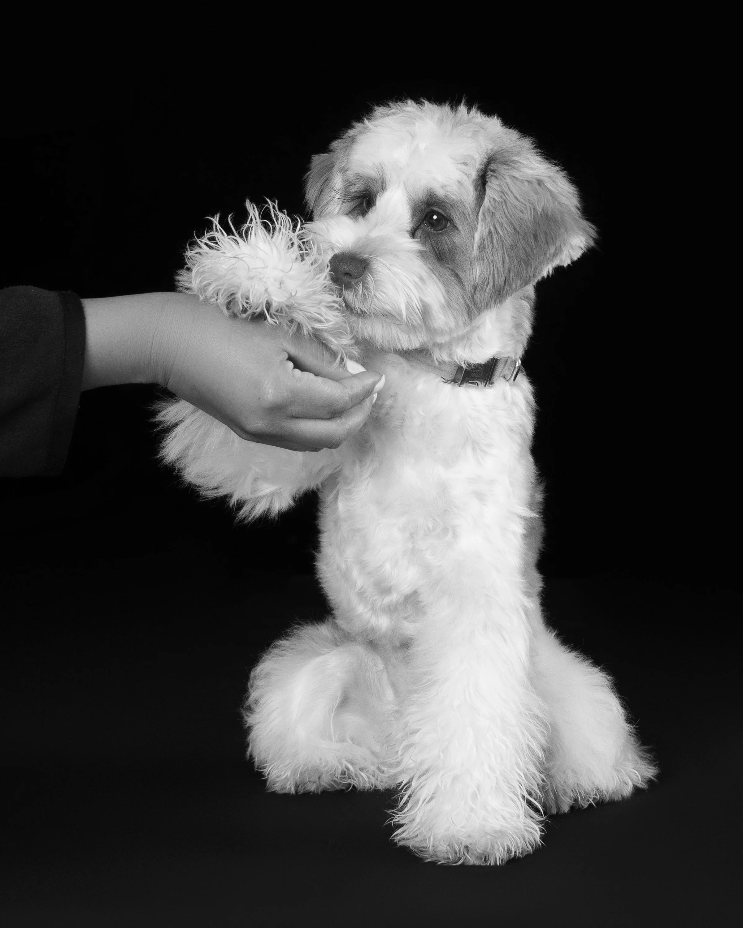 059A3678_bw.jpg