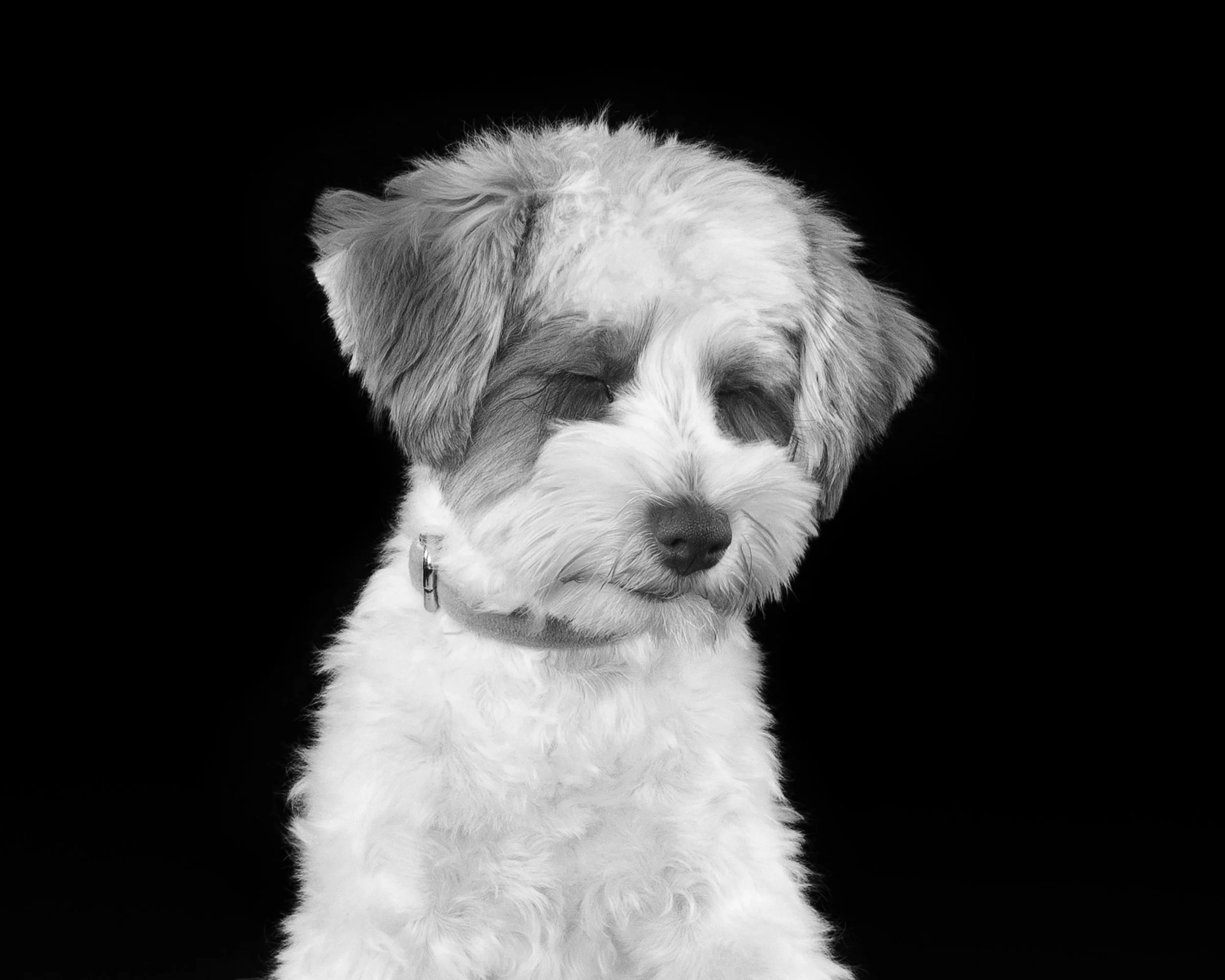 059A3681_bw.jpg