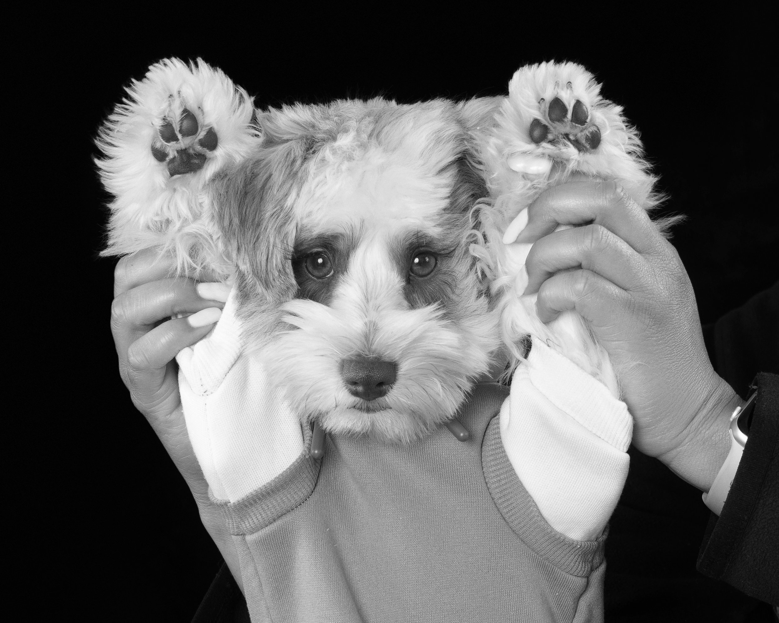 059A3782_bw.jpg