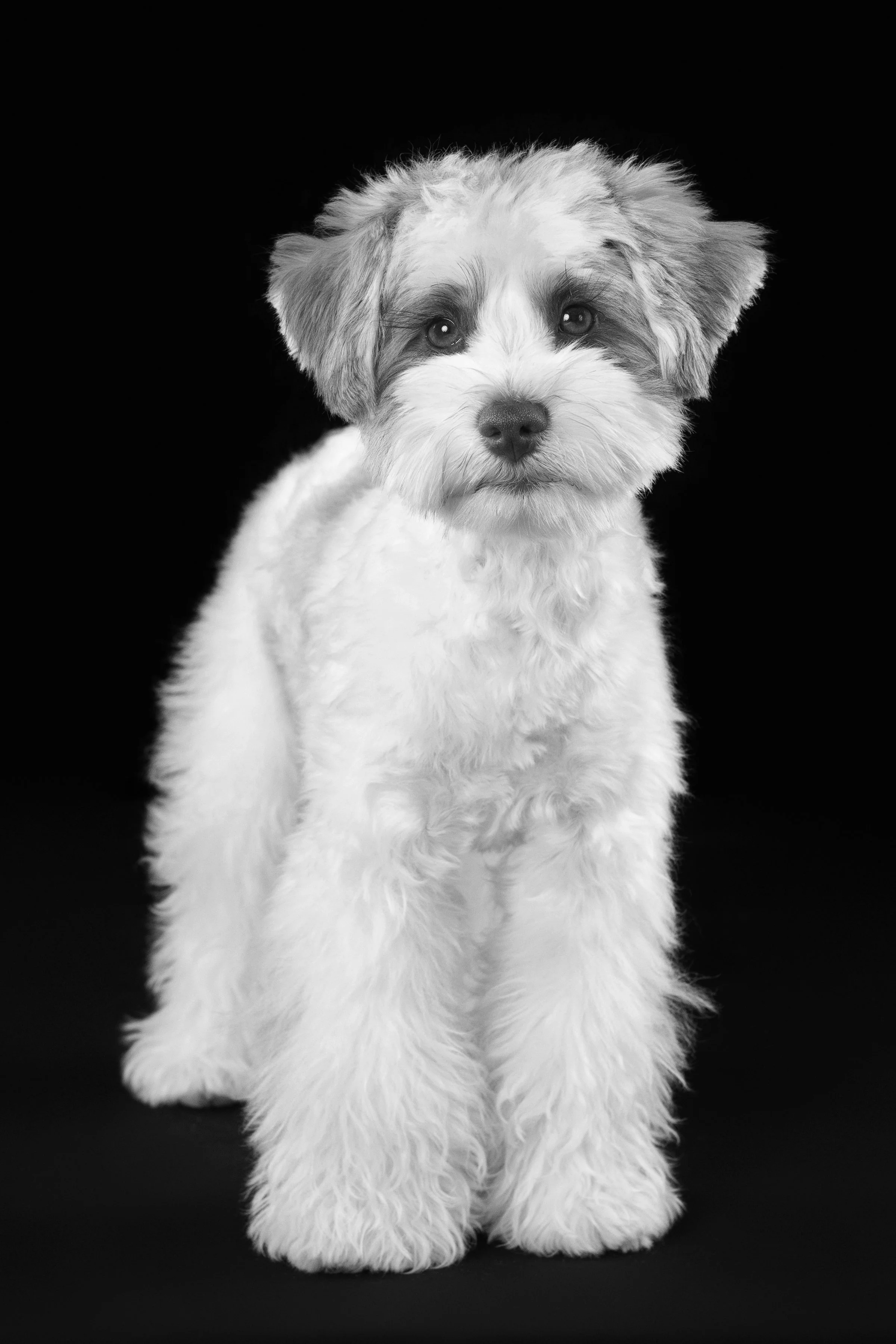 059A3792_bw.jpg