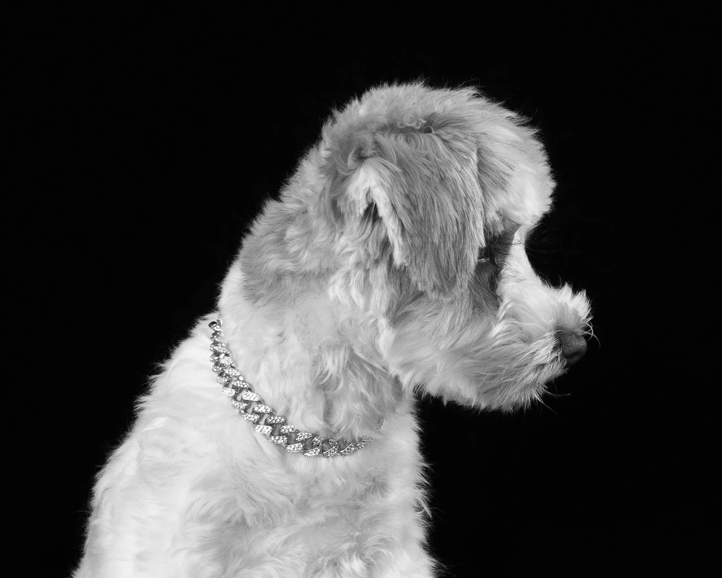 059A3717_bw.jpg