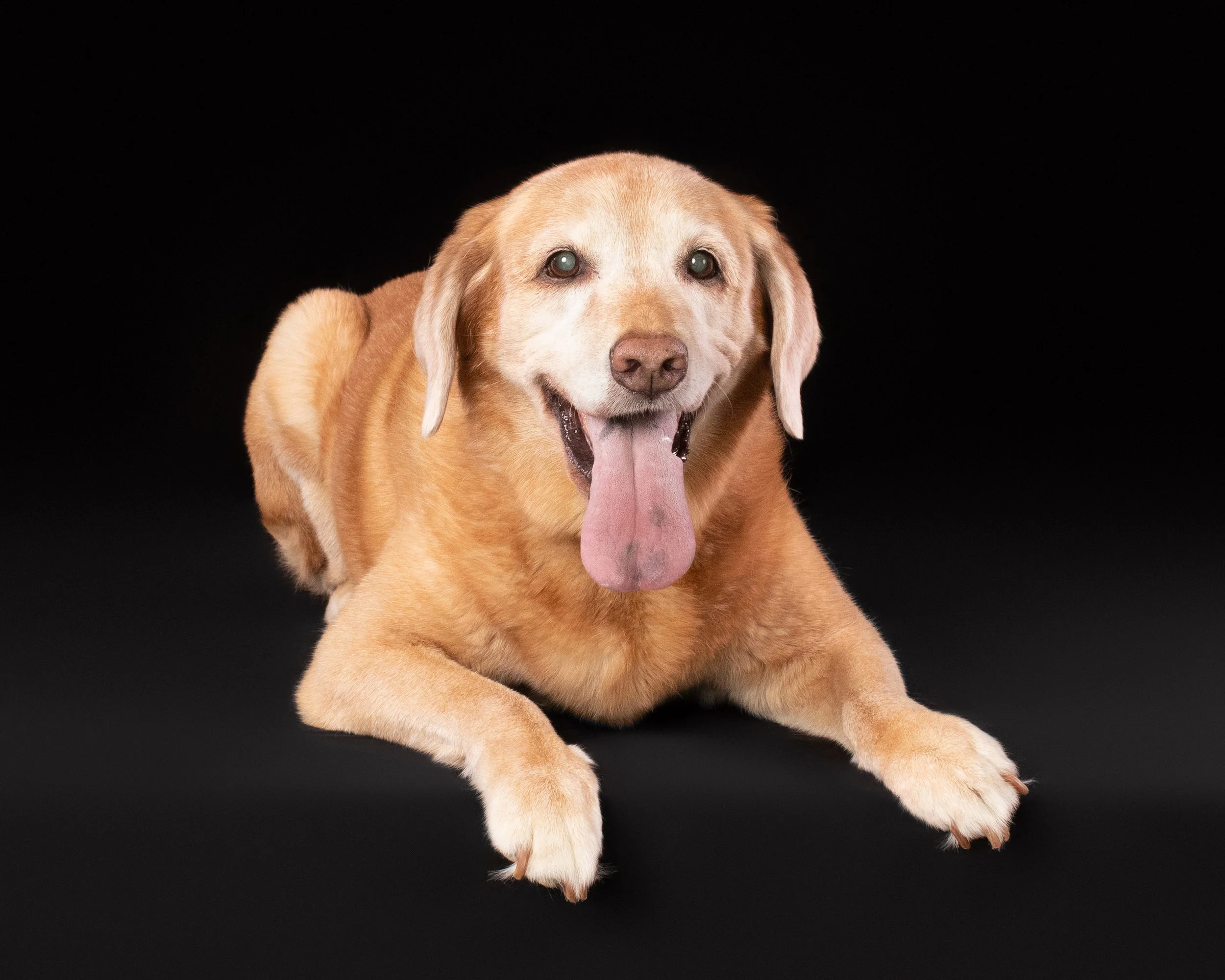 Itzela’s Portrait Session