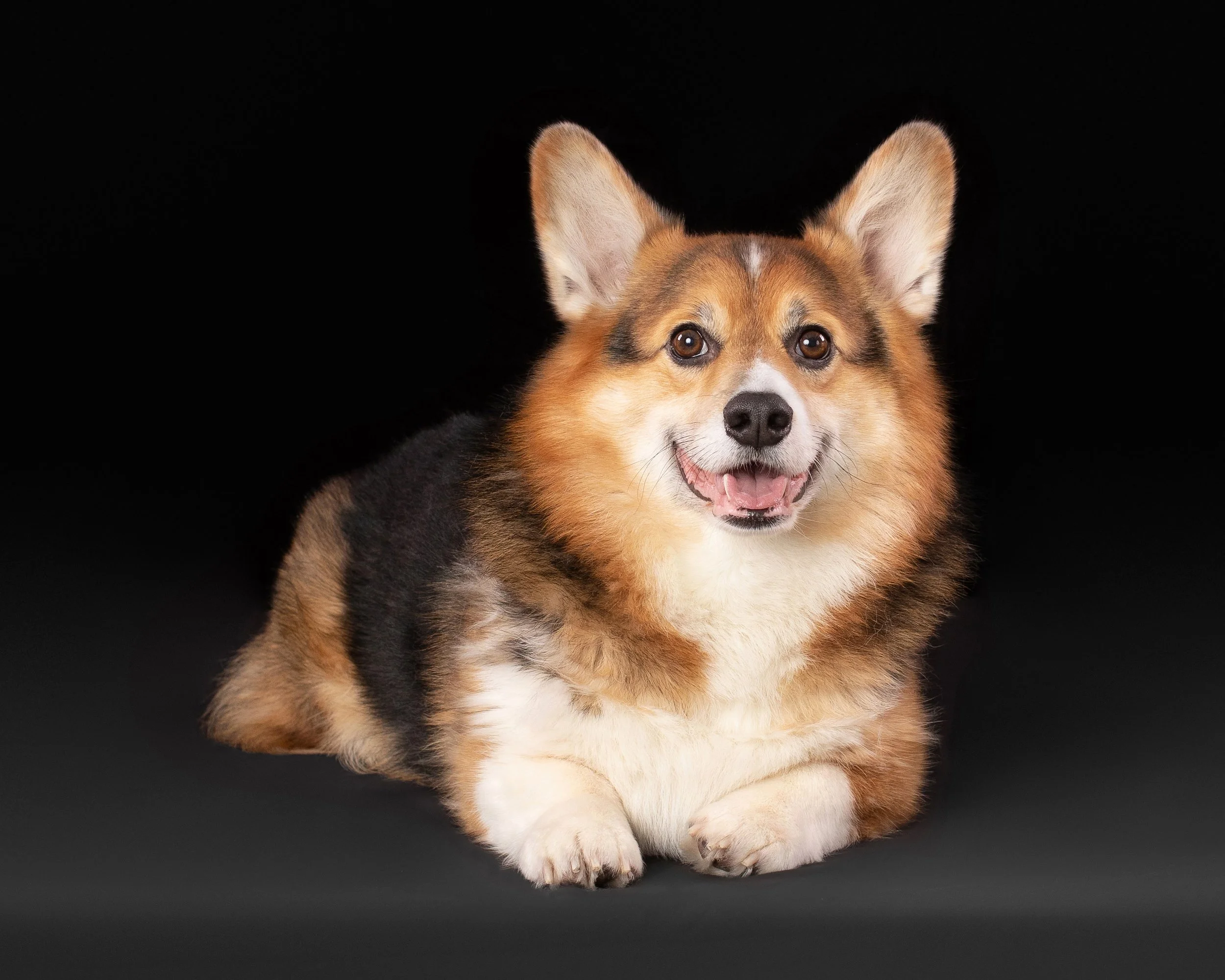 Kobe’s Portrait Session
