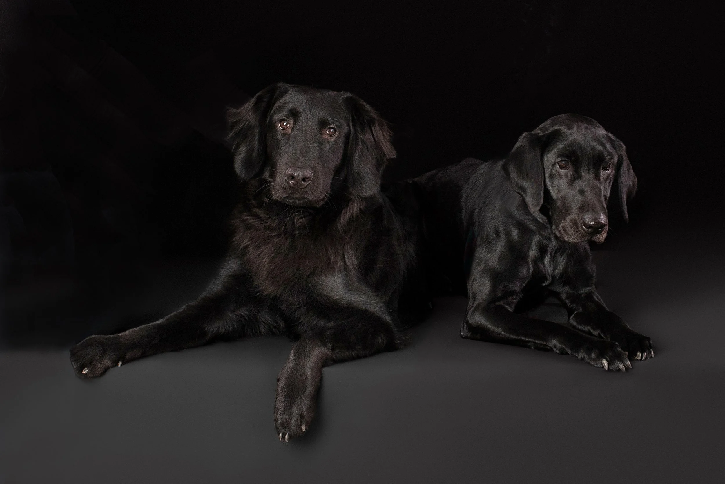 Abby’s Portrait Session