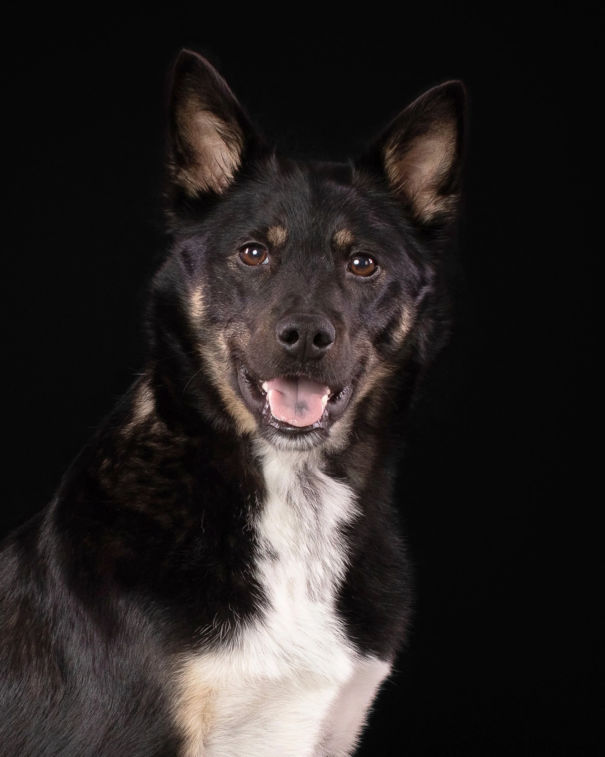 Abigail’s Portrait Session