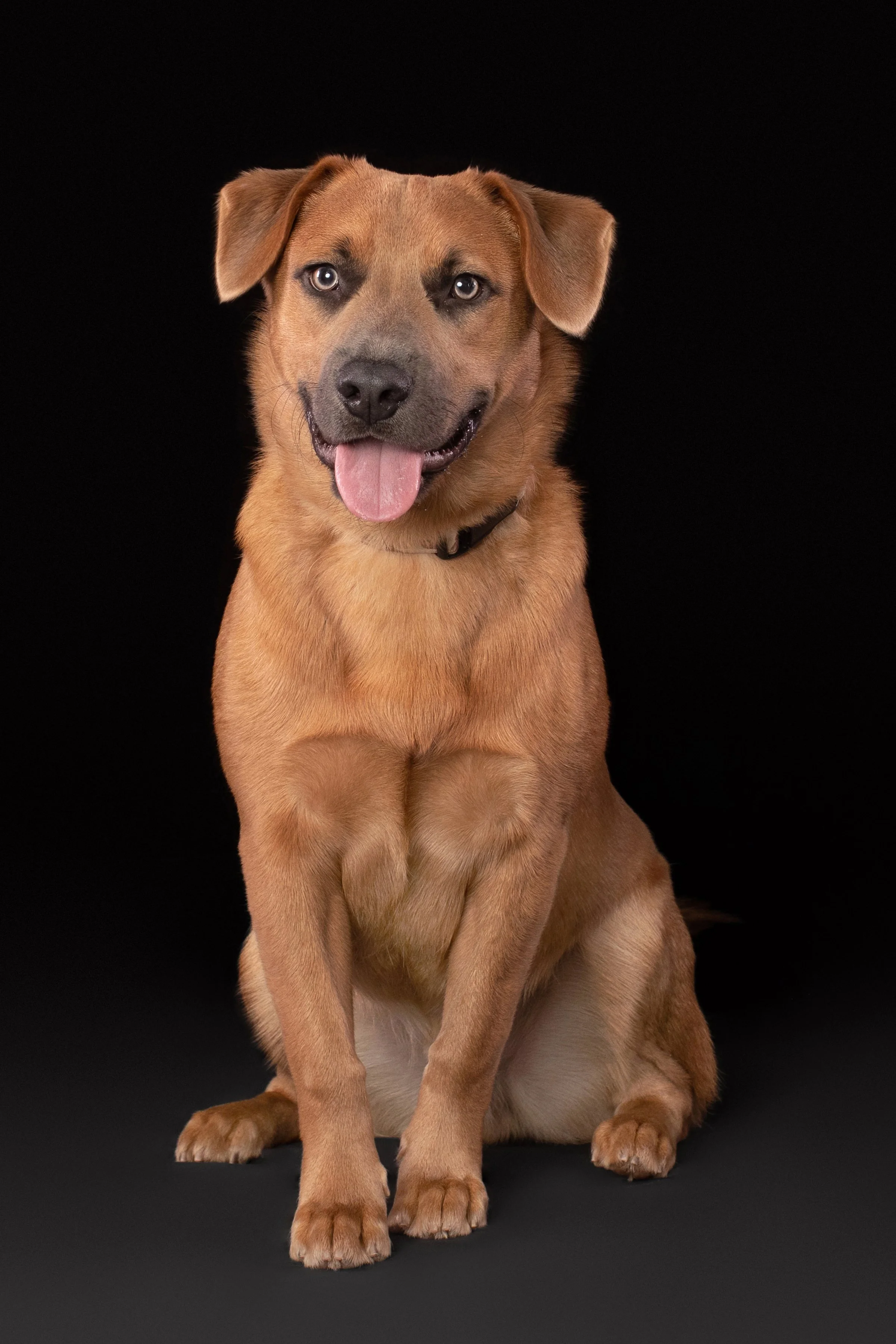 McKenna’s Portrait Session