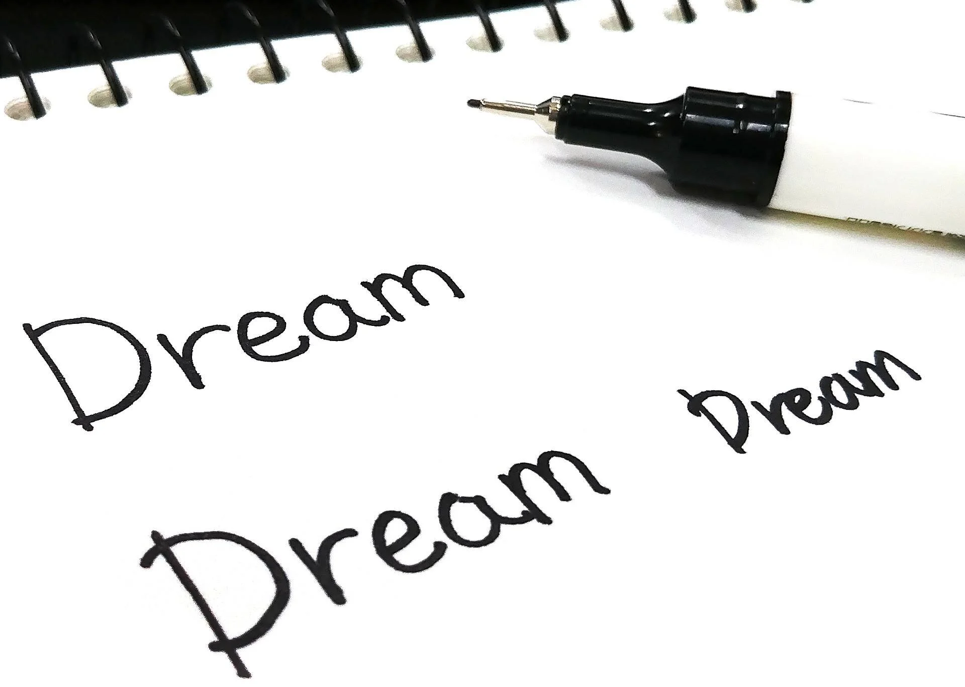 Whose Dream are you Livin?