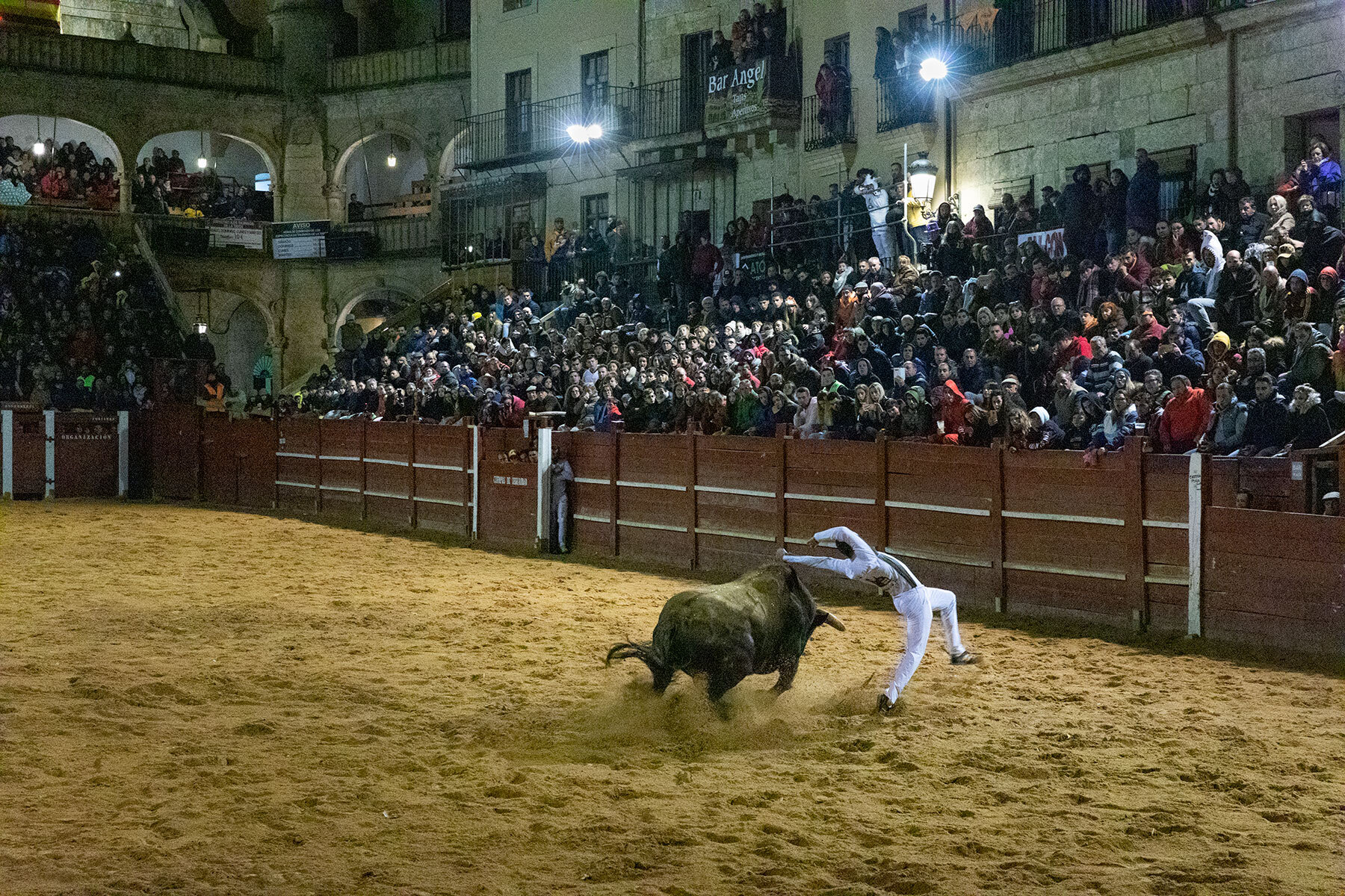 Salamanca_Bullfighting.jpg
