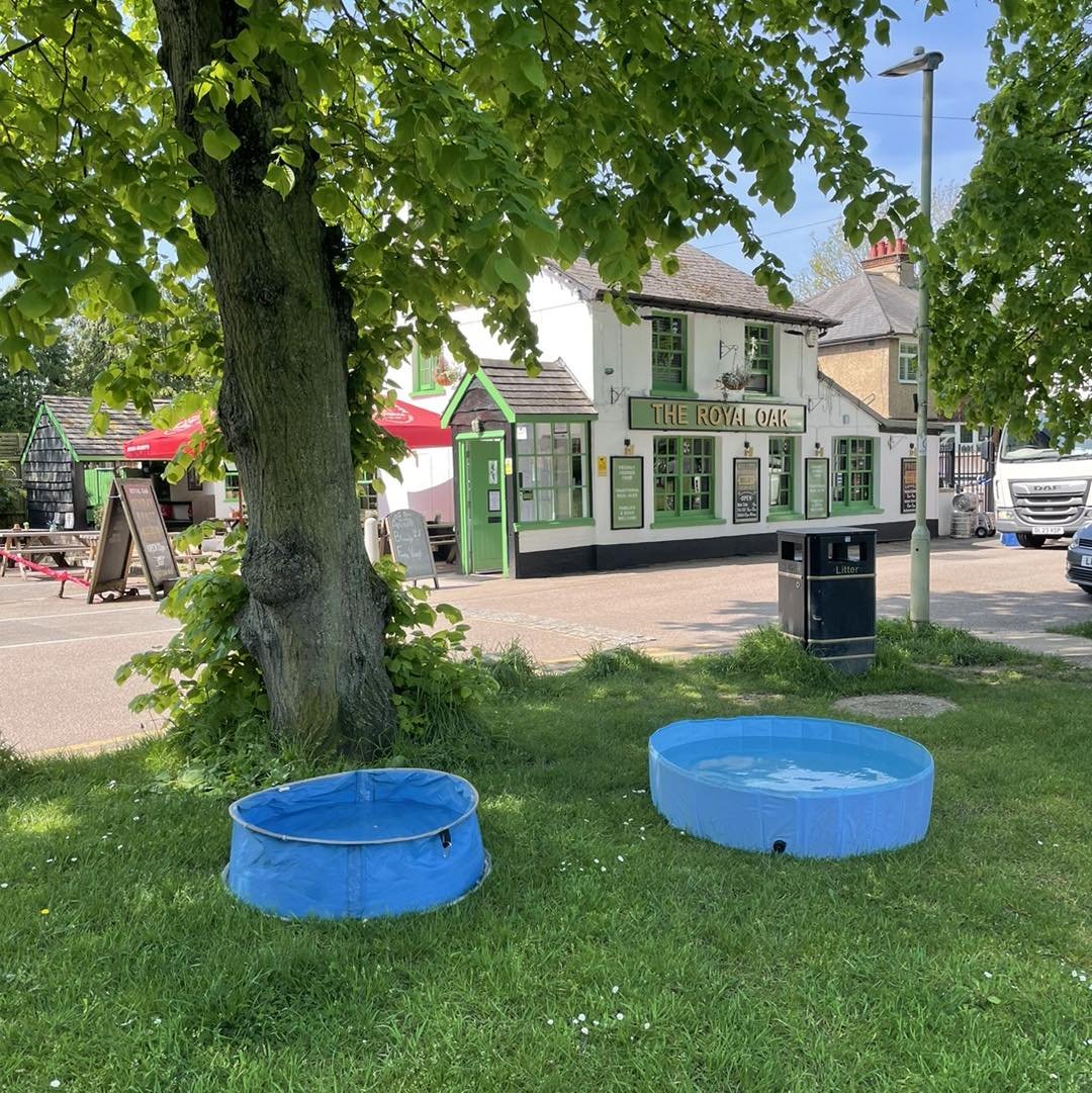 The sun's shining, the dog pools are out &ndash; it's the perfect excuse to swing by for a refreshing pint at The Royal Oak! 🍻☀️ 

#RoyalOak #BeerGardenFun #SunnyDays #RefreshingPints #PubLife #SummerVibes #DogFriendlyPub #PintsIntheSun #CheersToTha