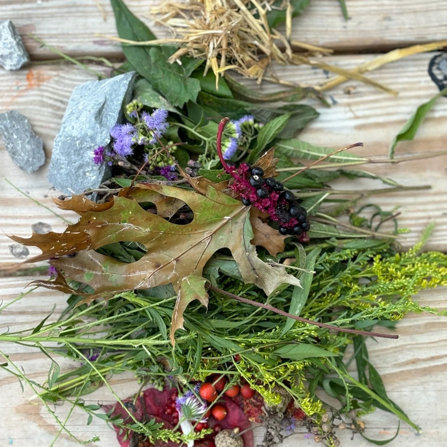 foraged+pile.jpg