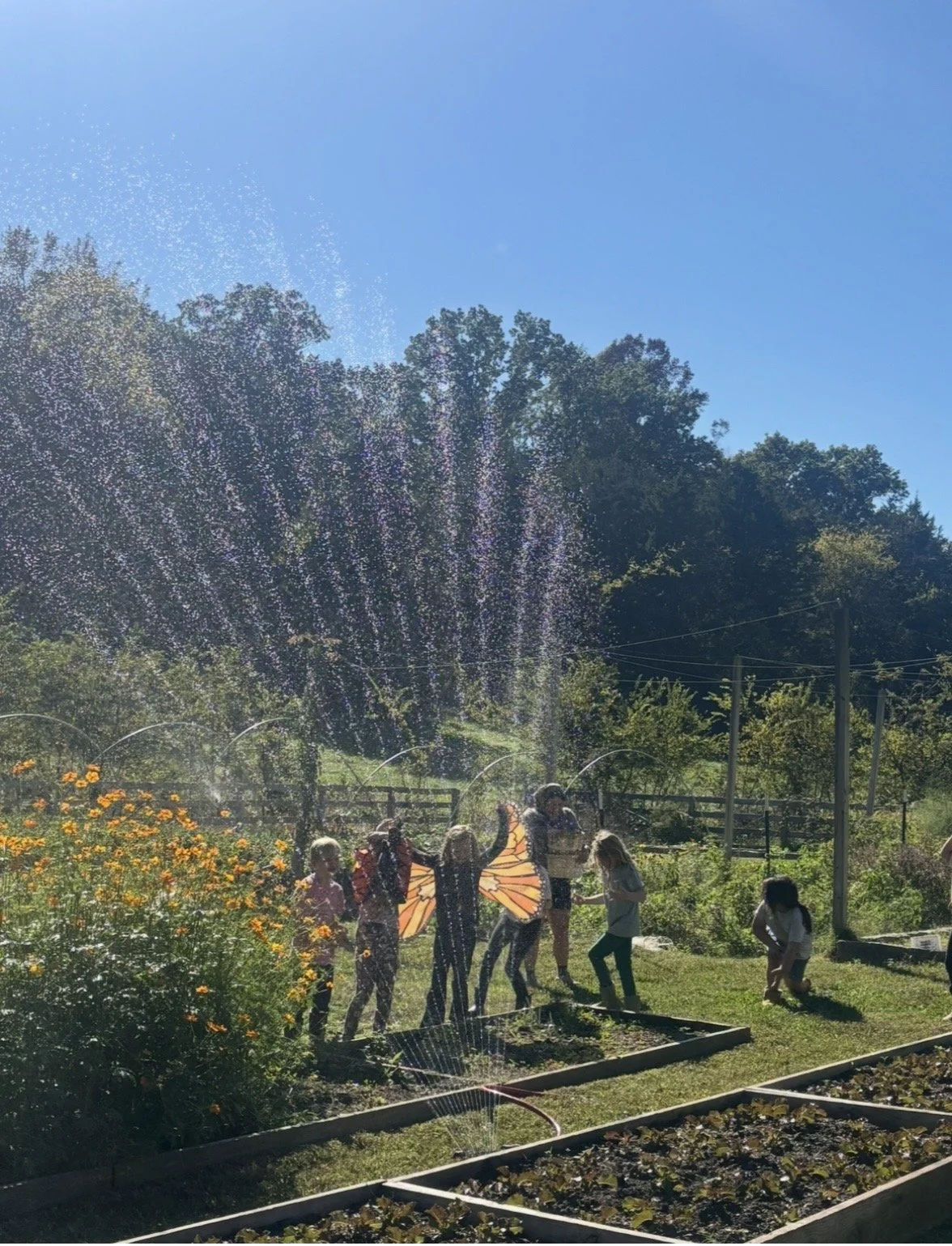 Garden sprinkler.jpg