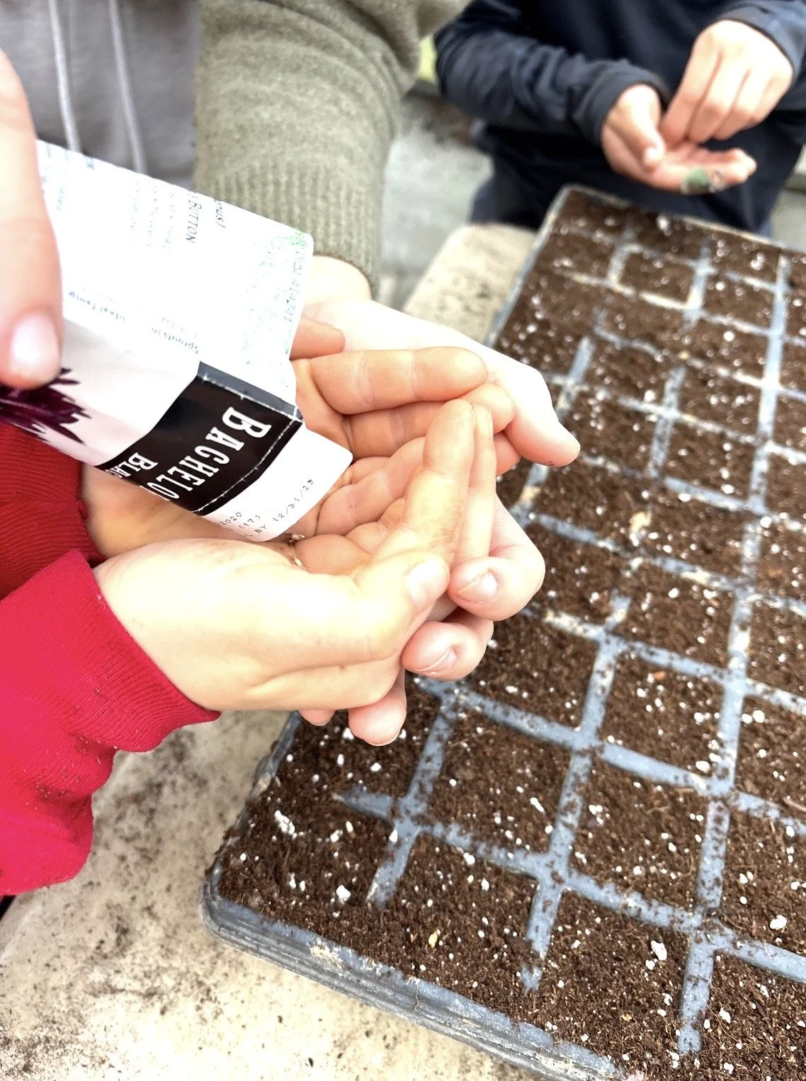 Forest Craft Collective: Family Workshop Series