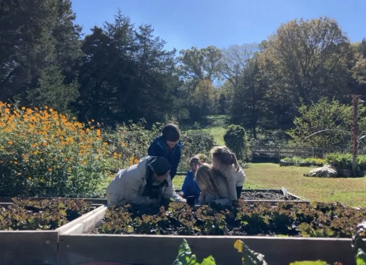 Addition Family Member