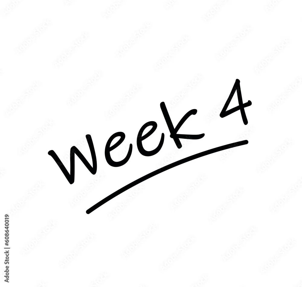 Modified/Novice: 7/27-7/31
