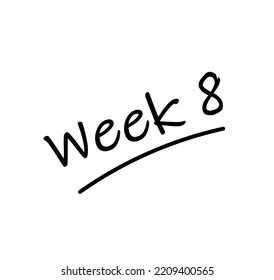 Modified/Novice: 8/24-8/28