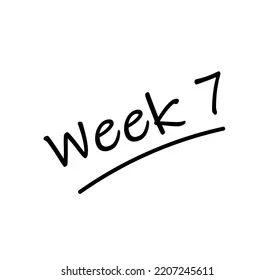 Modified/Novice: 8/17-8/21