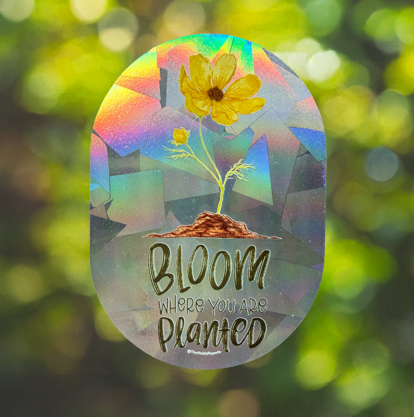 NSC004_Bloom-04.png