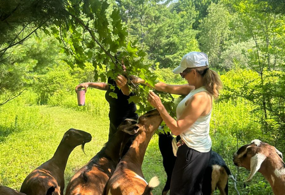 A Catskills Reset