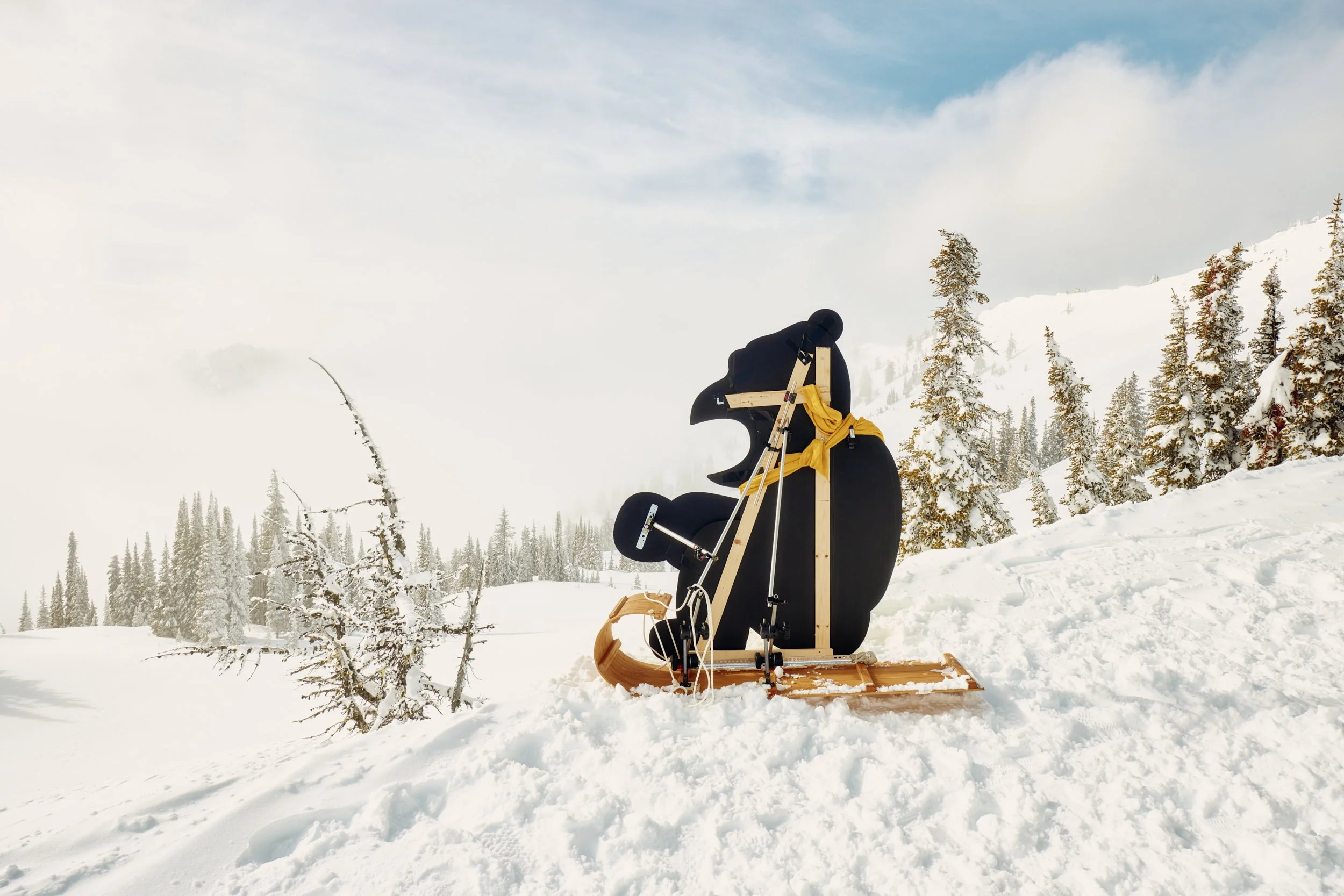 Sun Bum , Geoff McFetridge , Mountain Bum , Ely Phillips