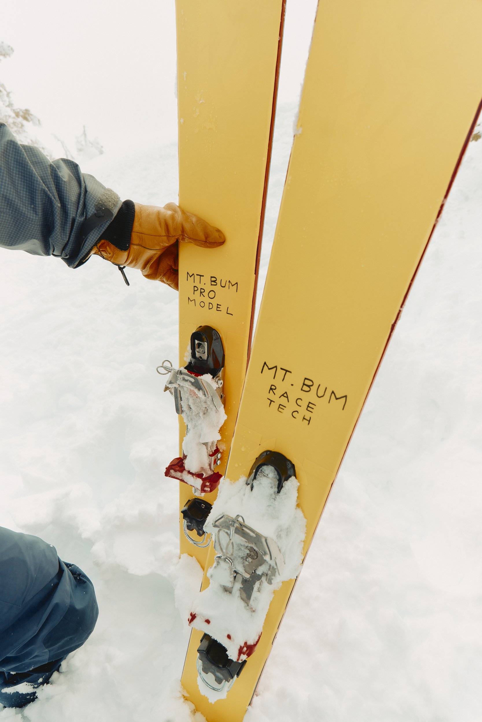 Sun Bum , Geoff McFetridge , Mountain Bum , Ely Phillips