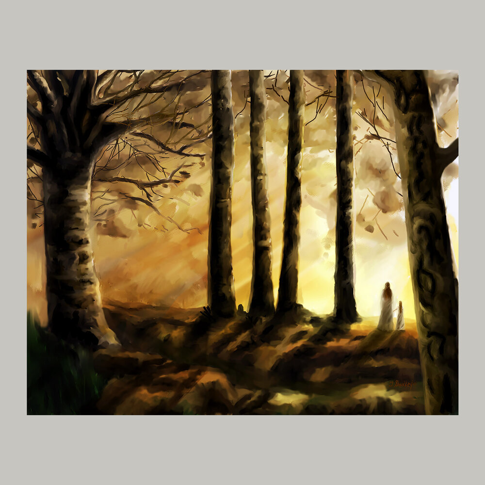 Forest At Dawn